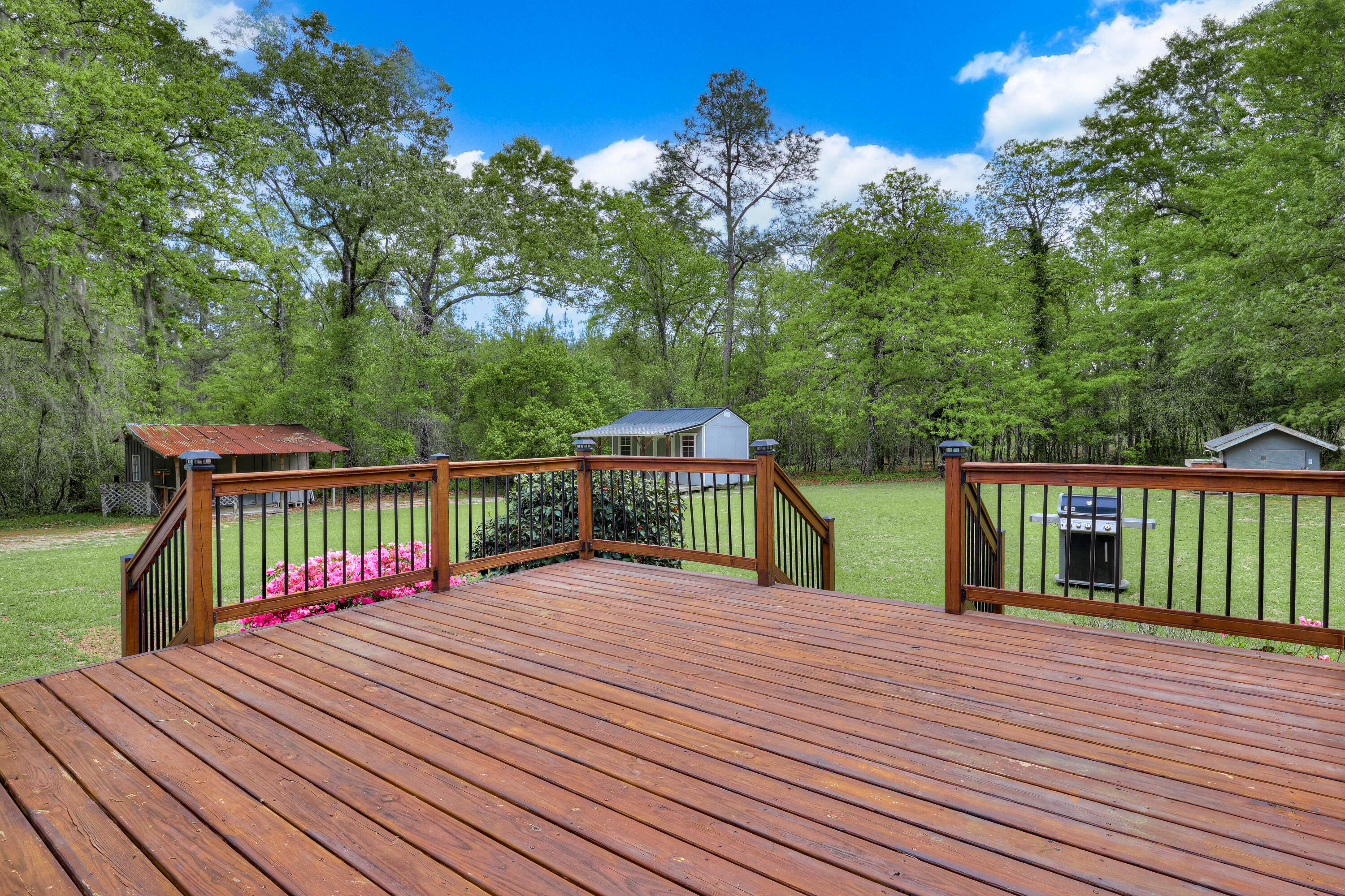 45 Daisy Lane Barnwell, SC 29812 - Photo 21 of 27 24-145