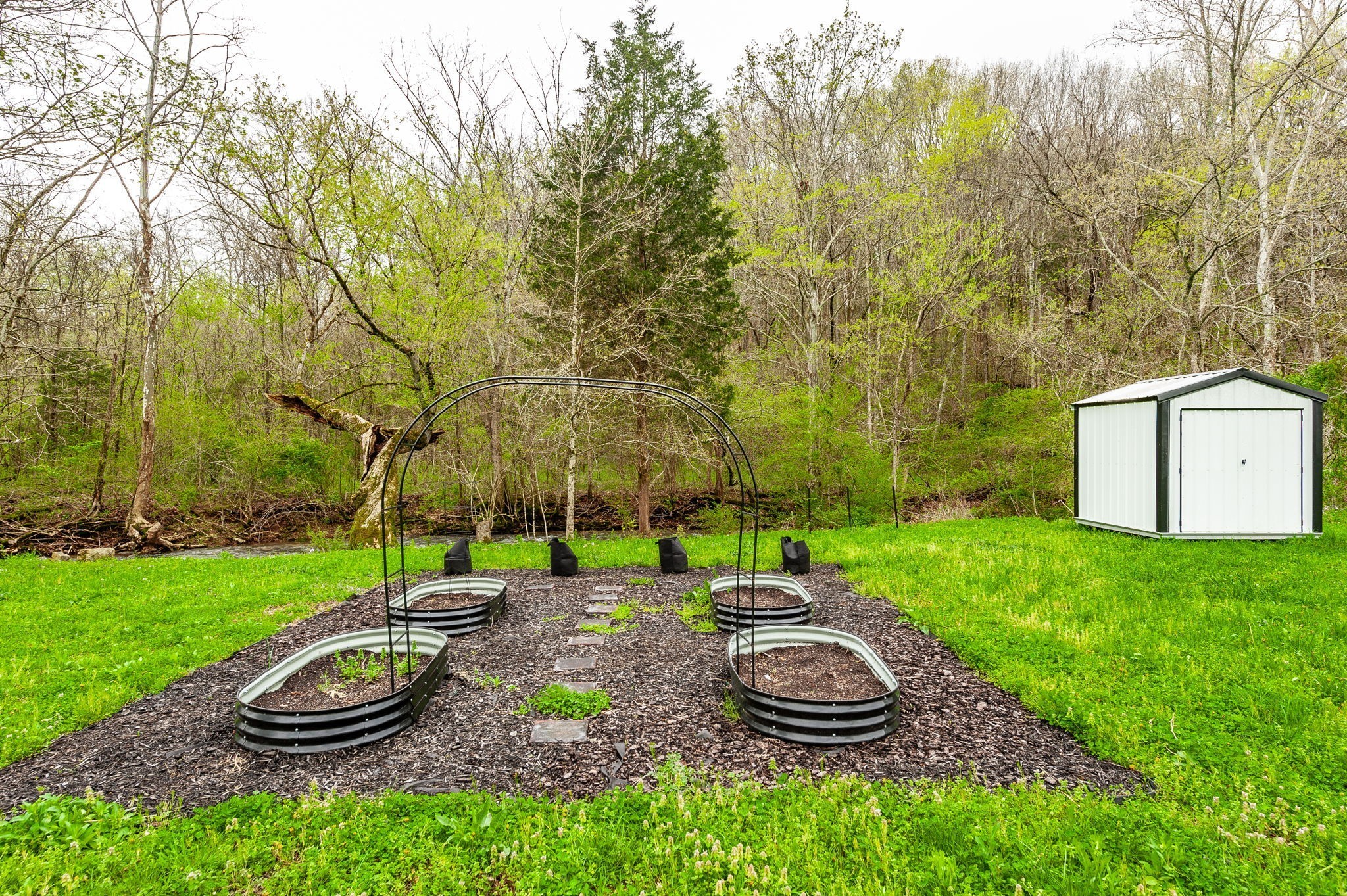 375 Mt Vernon Road Bethpage, TN 37022 - Photo 45 of 66 a view of a backyard with plants and a garden