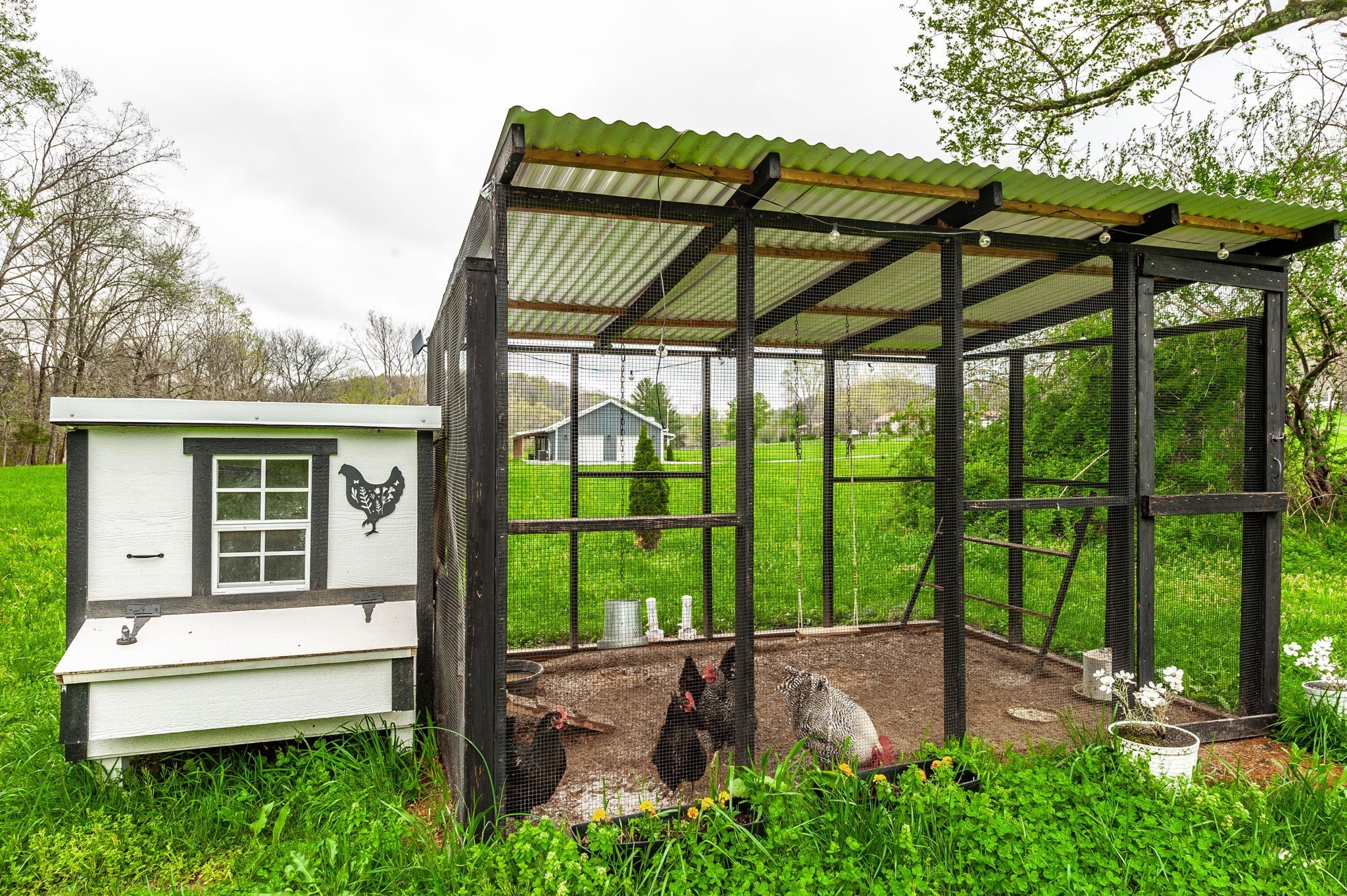 375 Mt Vernon Road Bethpage, TN 37022 - Photo 47 of 66 a view of outdoor space yard and patio