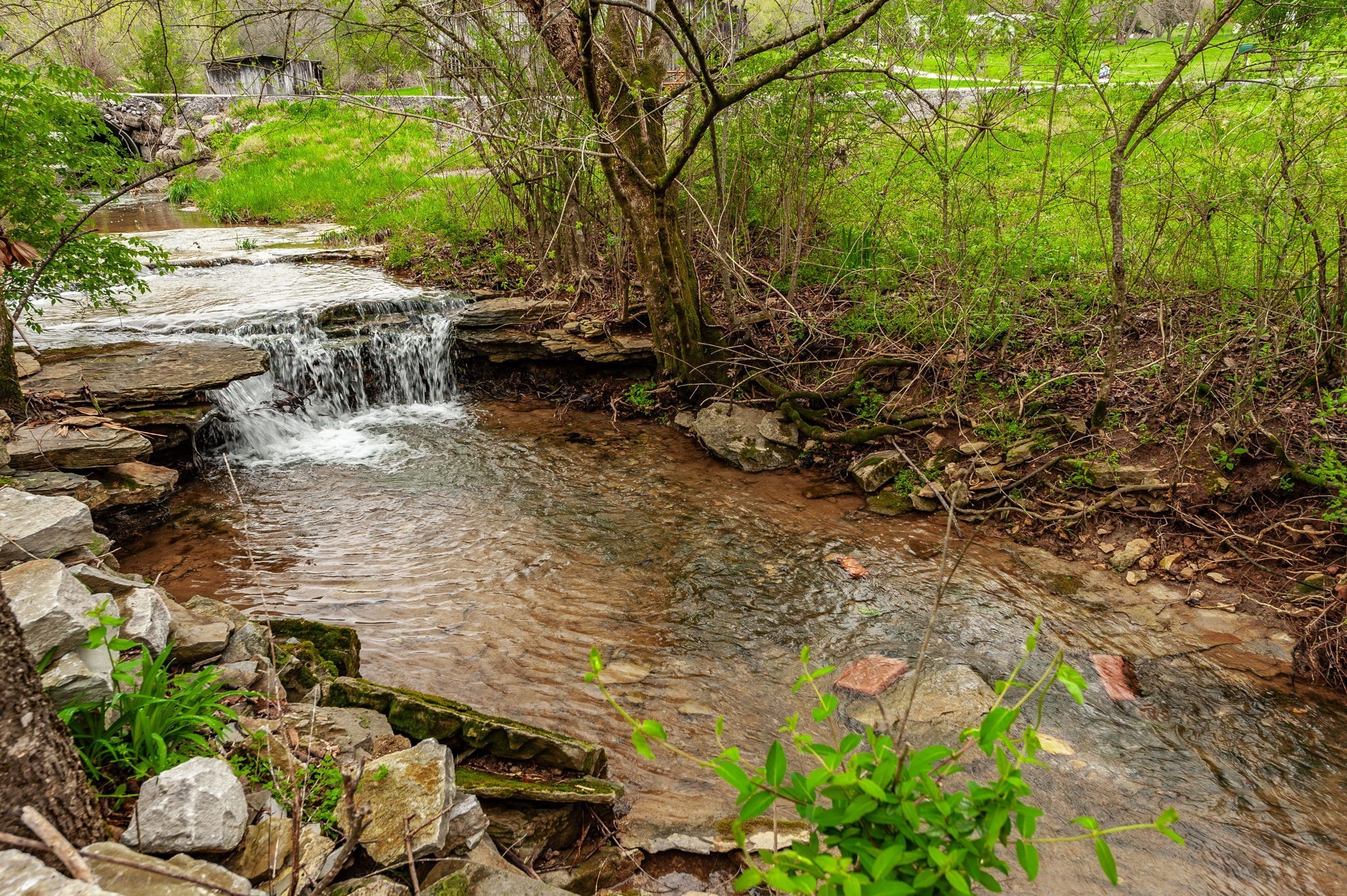 375 Mt Vernon Road Bethpage, TN 37022 - Photo 48 of 66