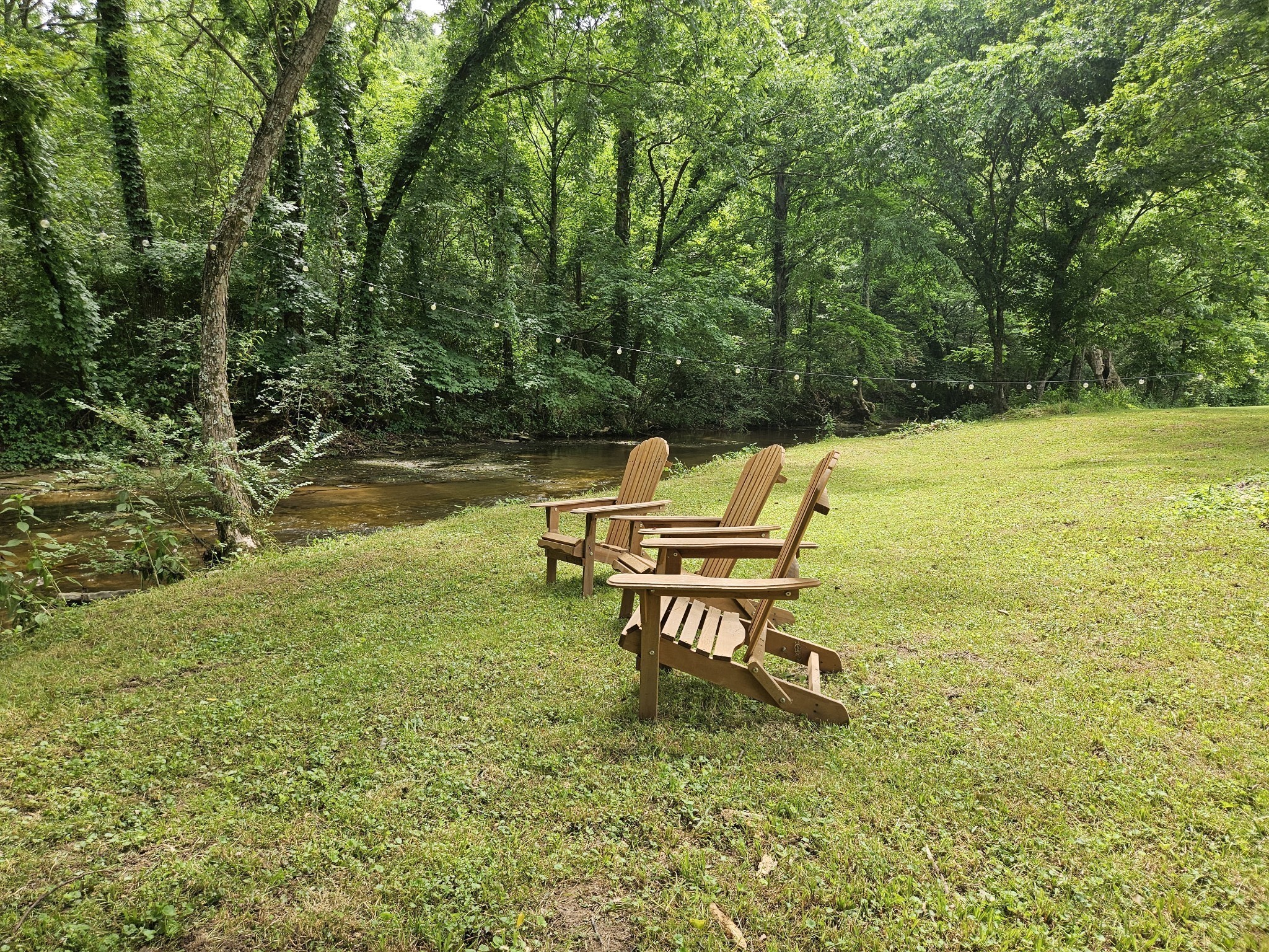 375 Mt Vernon Road Bethpage, TN 37022 - Photo 49 of 66 a bench sitting in the middle of a lake
