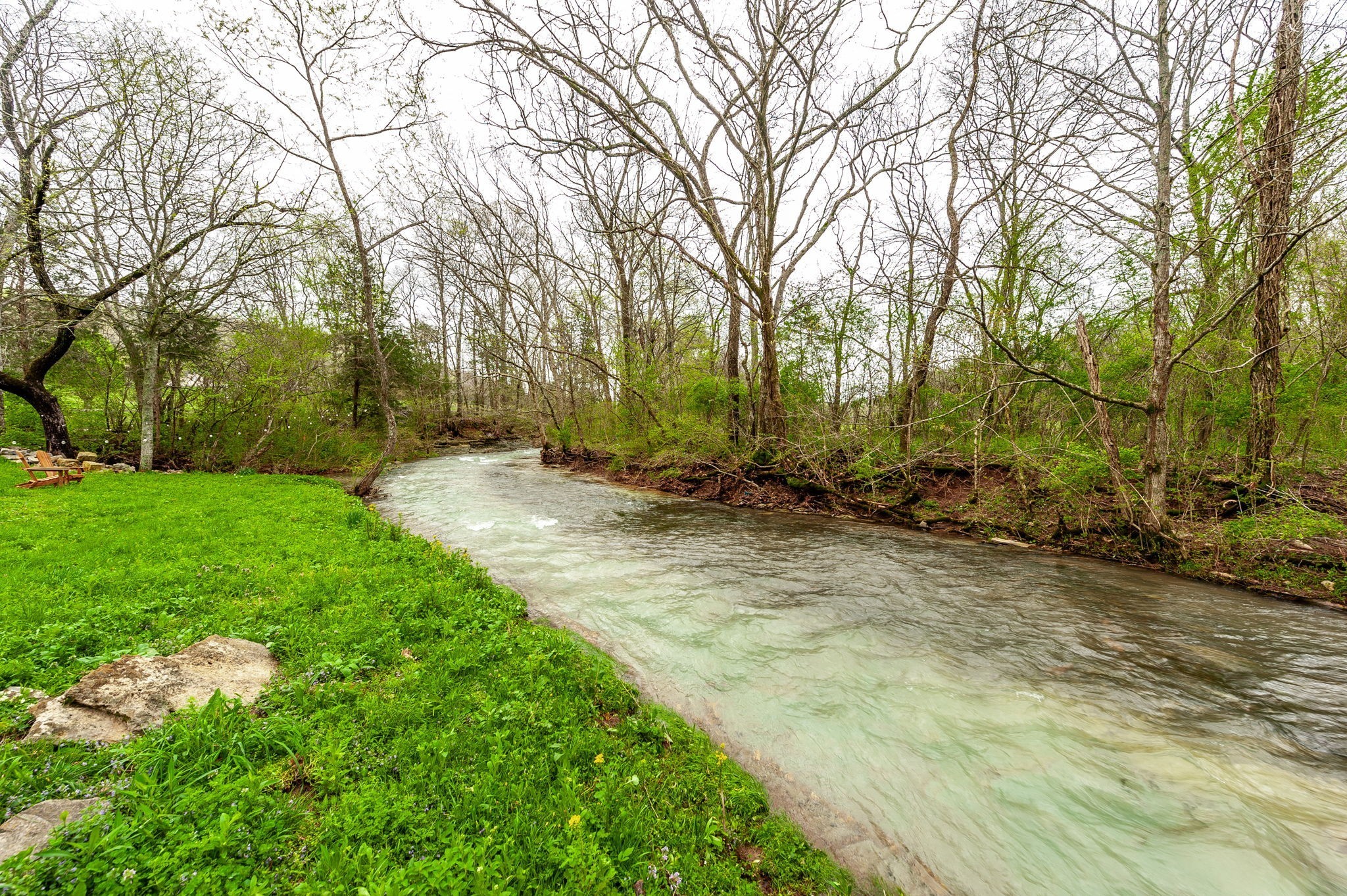 375 Mt Vernon Road Bethpage, TN 37022 - Photo 50 of 66 a backyard of a house with lots of green space