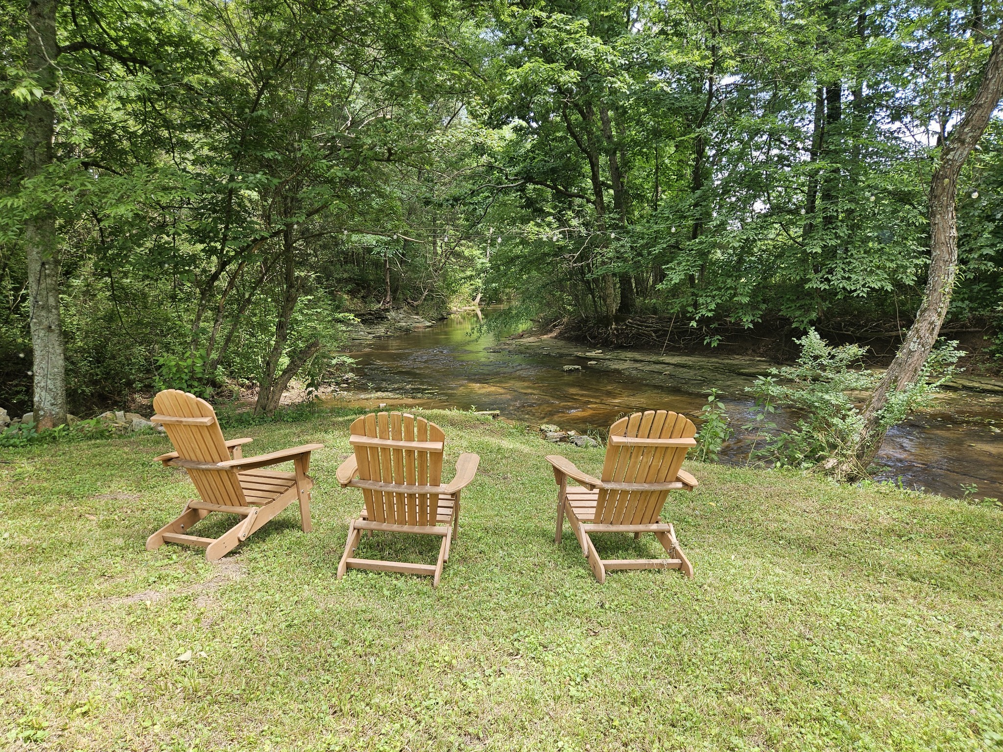 375 Mt Vernon Road Bethpage, TN 37022 - Photo 51 of 66