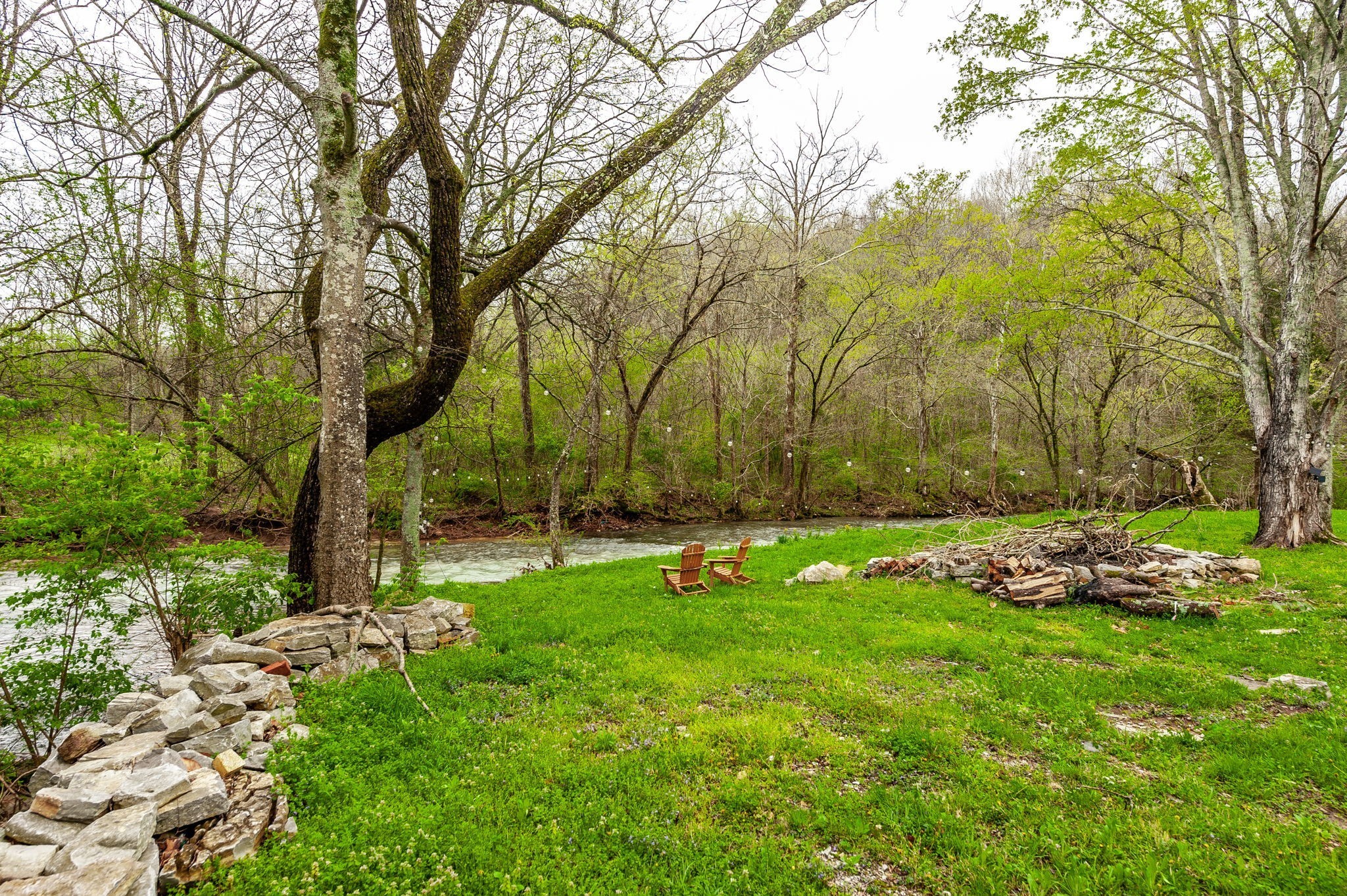 375 Mt Vernon Road Bethpage, TN 37022 - Photo 52 of 66 a view of backyard with green space