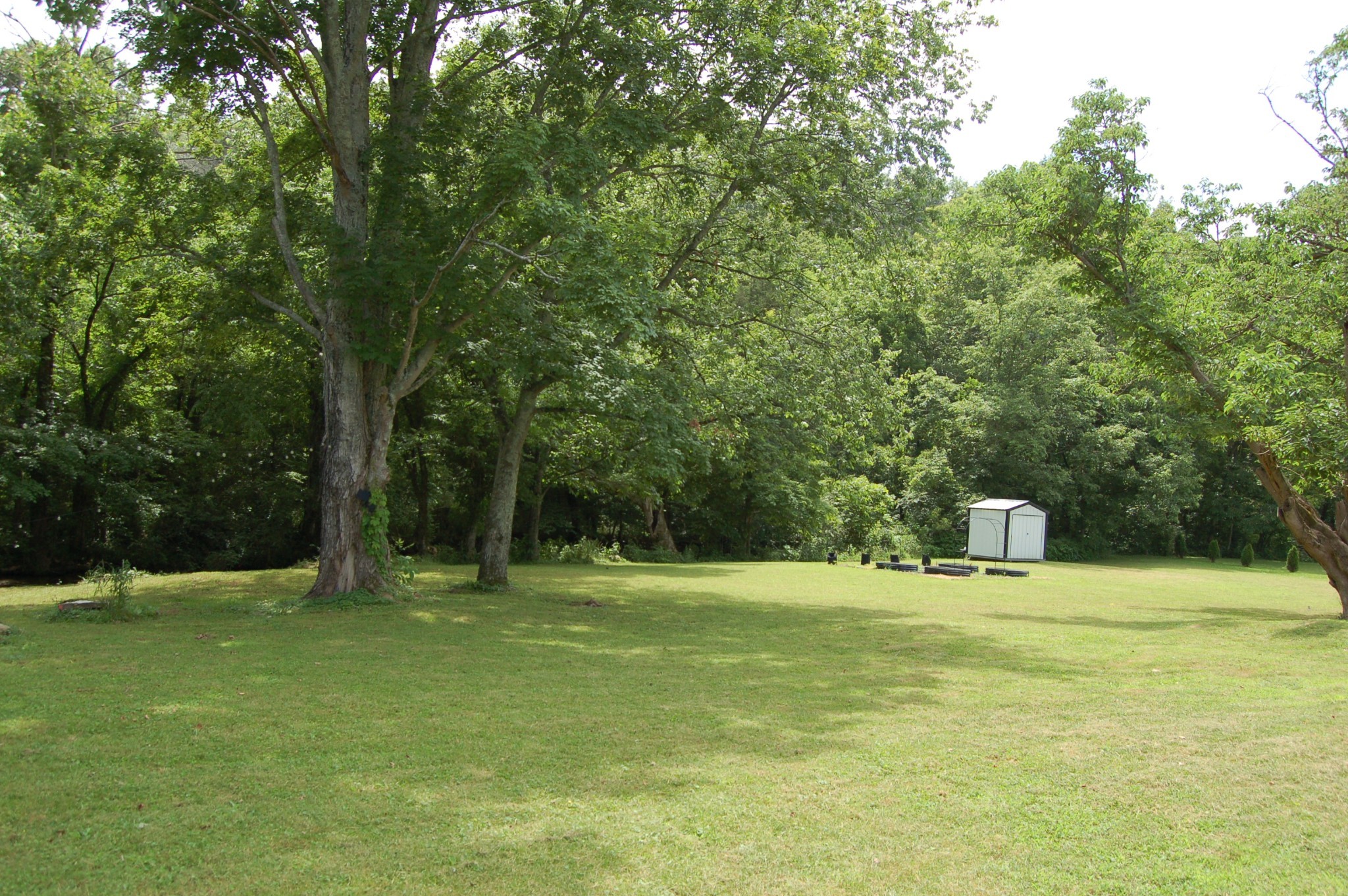 375 Mt Vernon Road Bethpage, TN 37022 - Photo 58 of 66 a big yard with trees