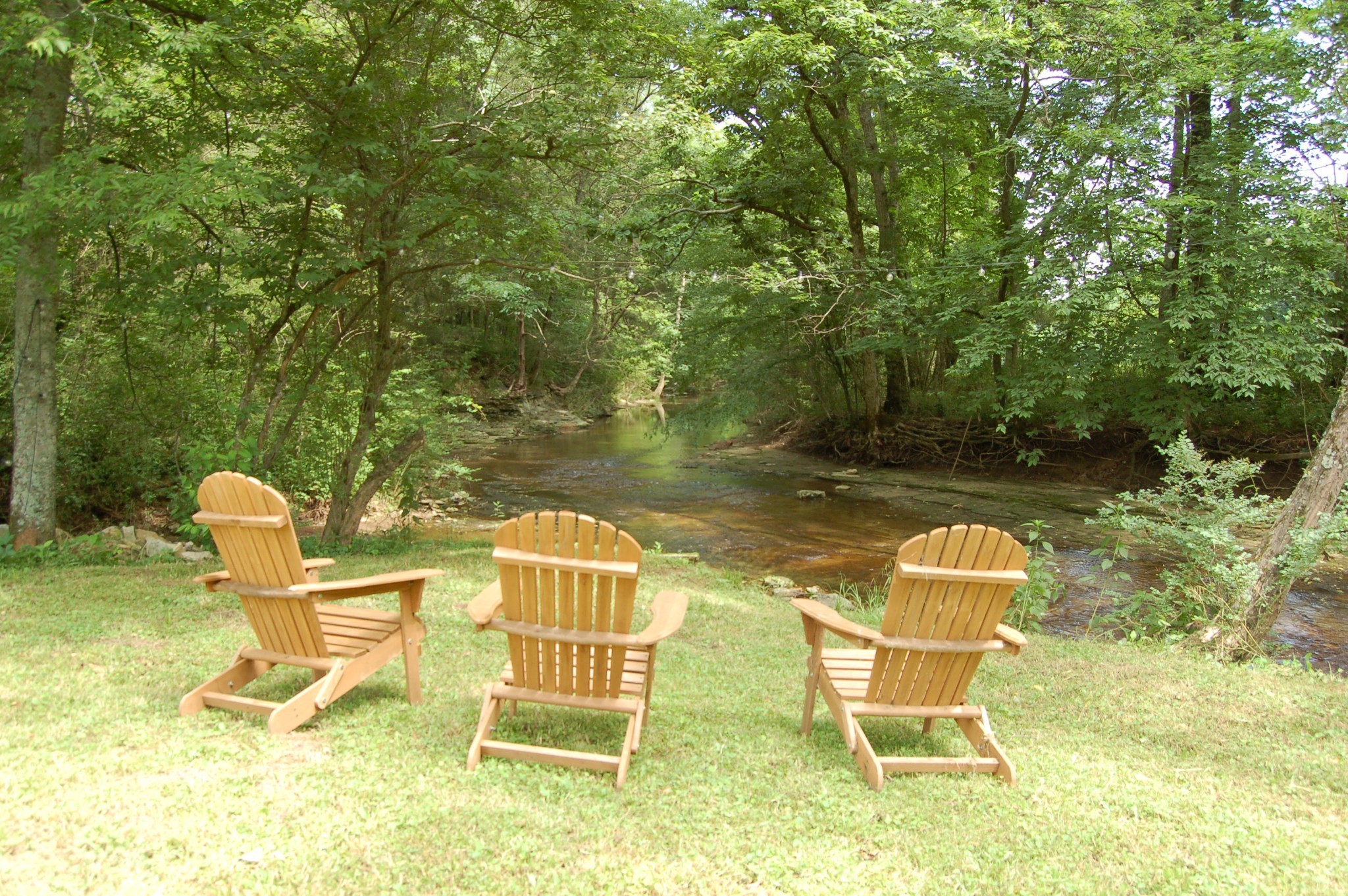 375 Mt Vernon Road Bethpage, TN 37022 - Photo 61 of 66