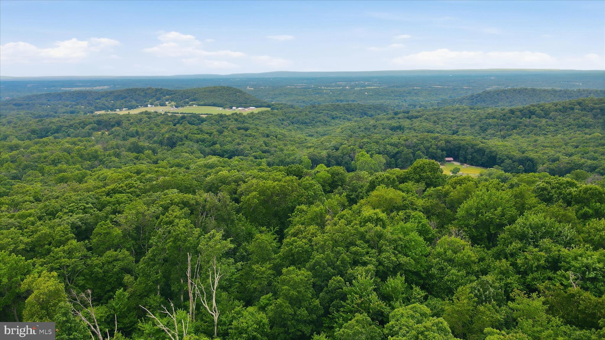 2529 Chestnut Grove Road Sharpsburg, MD 21782 - Photo 41 of 52 Gallery Image 41