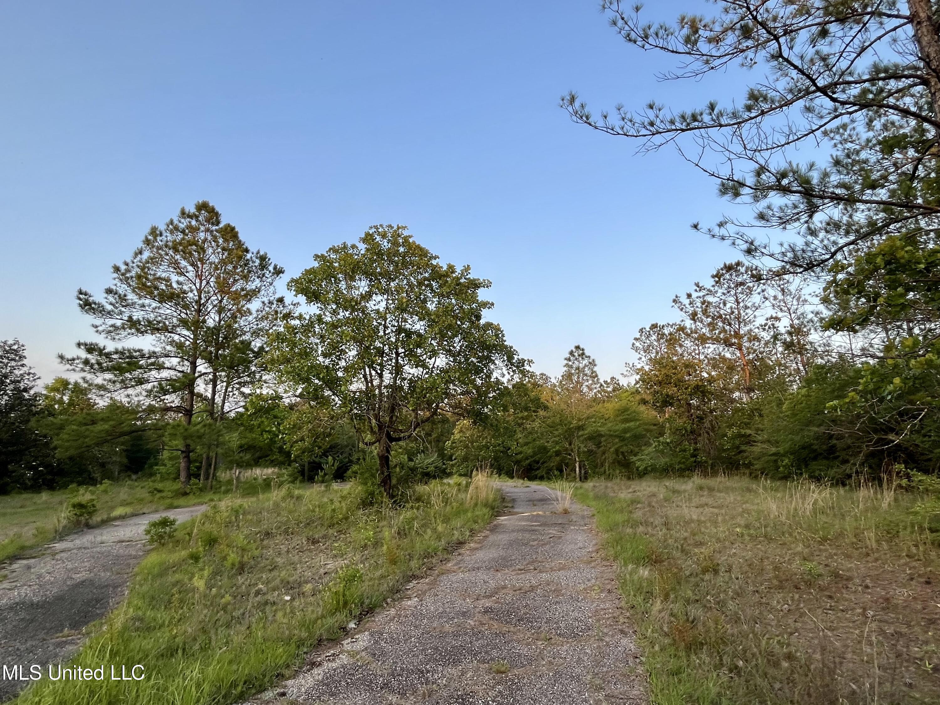 12 Lois B Bond Road Perkinston, MS 39573 - Photo 1 of 12 IMG_2265