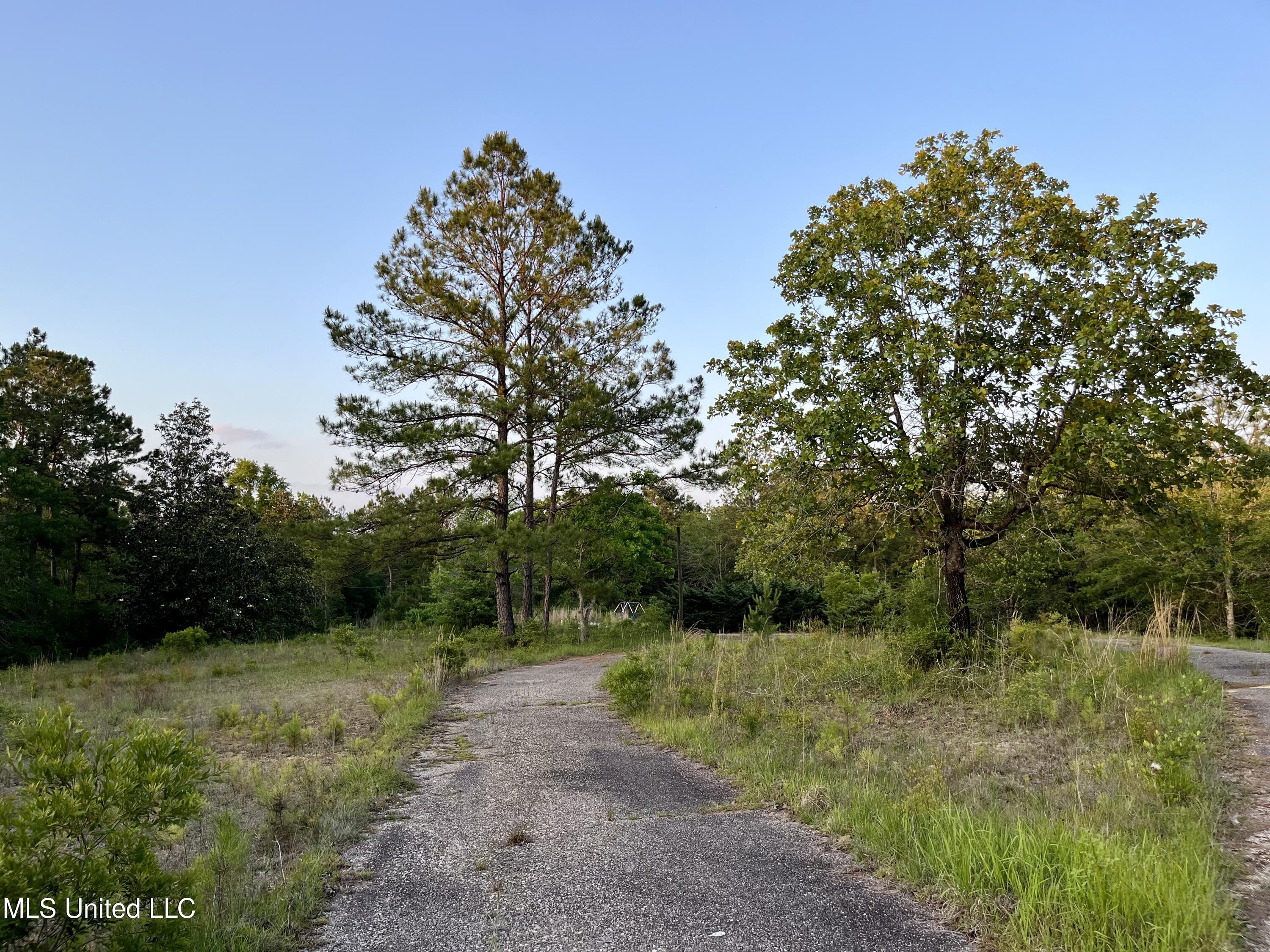 12 Lois B Bond Road Perkinston, MS 39573 - Photo 3 of 12 IMG_2256