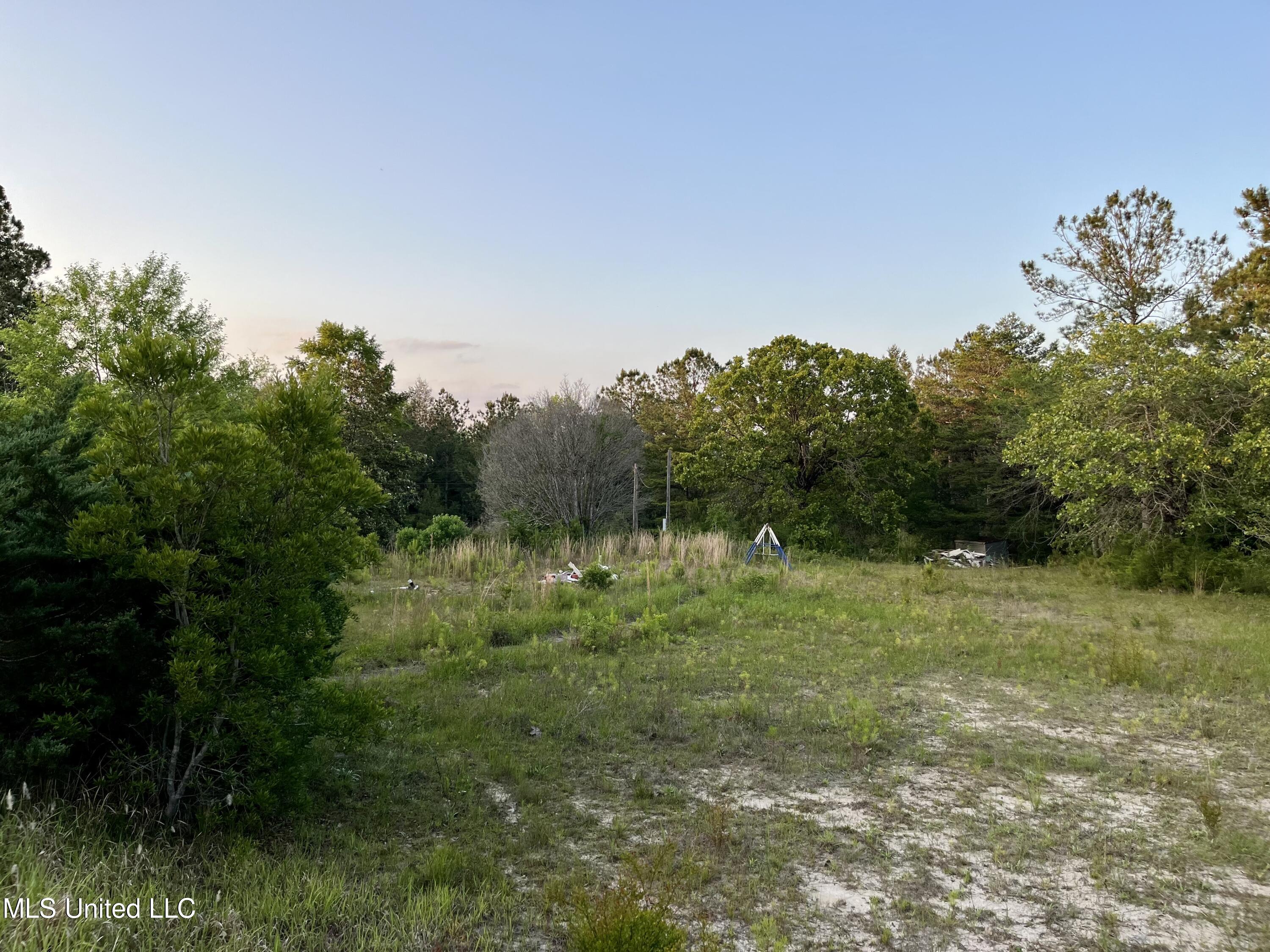 12 Lois B Bond Road Perkinston, MS 39573 - Photo 5 of 12 IMG_2258