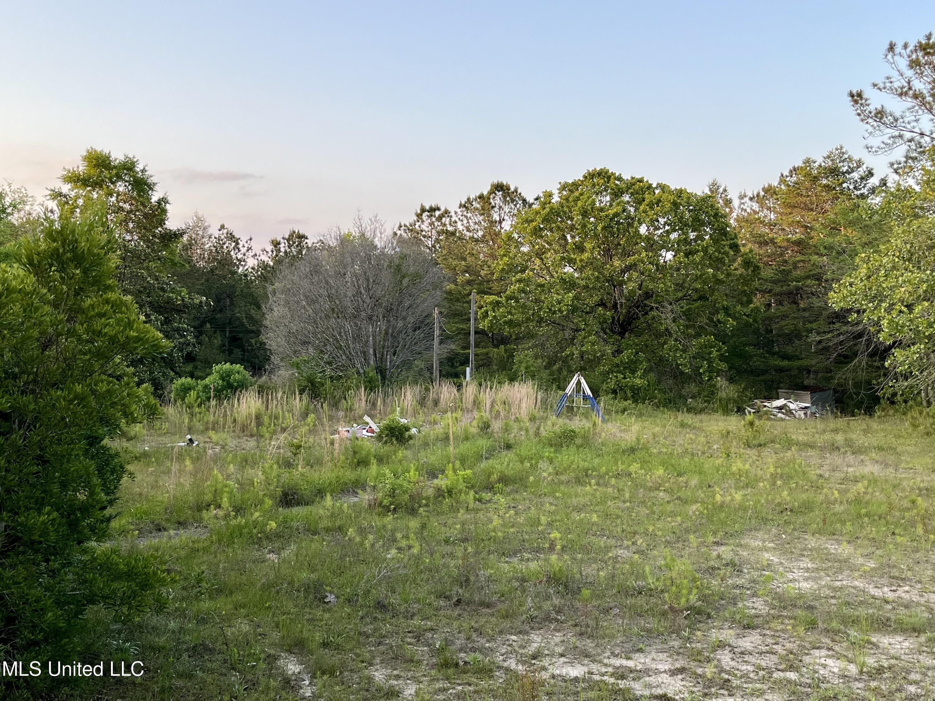 12 Lois B Bond Road Perkinston, MS 39573 - Photo 6 of 12 IMG_2259