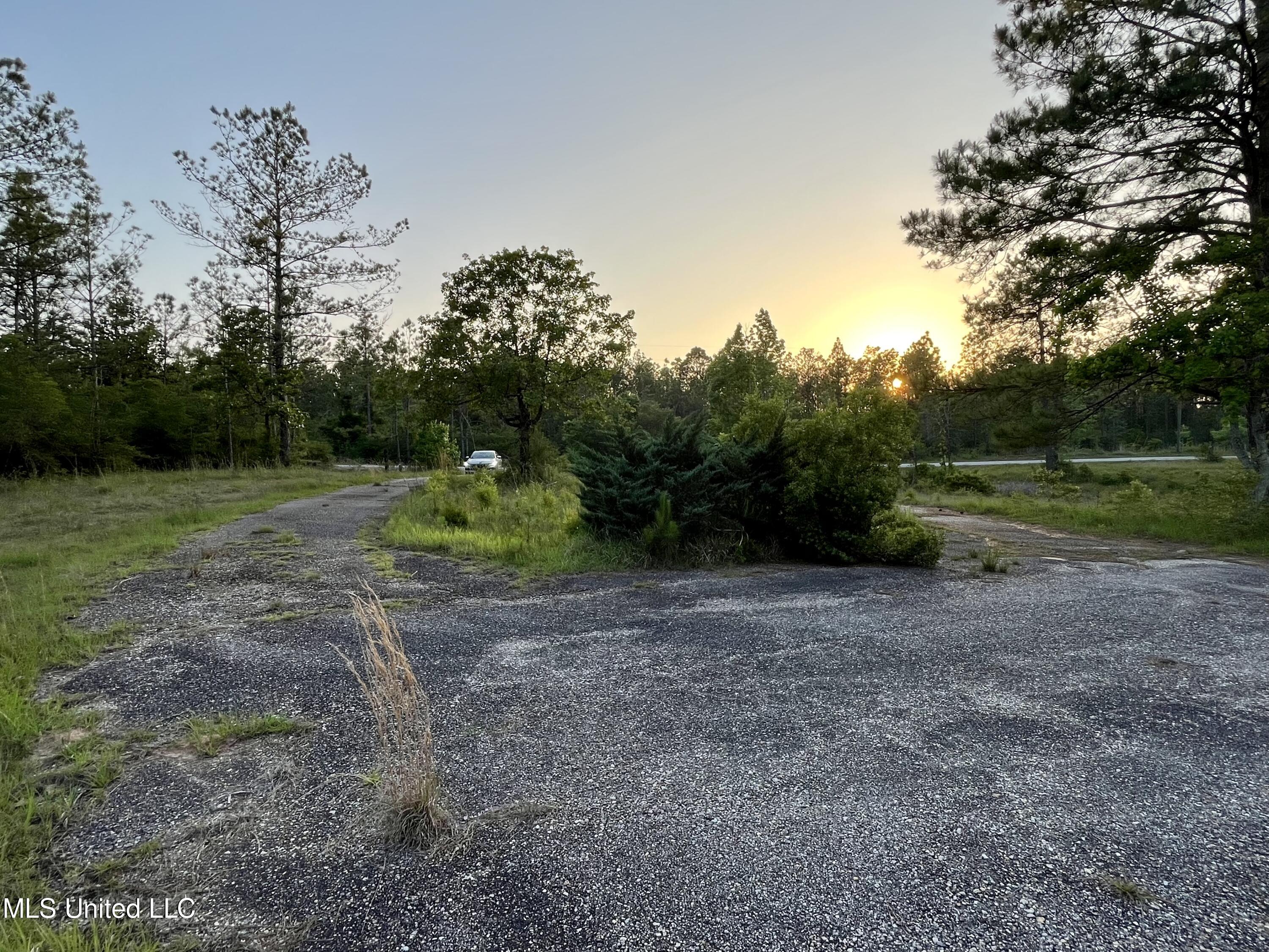 12 Lois B Bond Road Perkinston, MS 39573 - Photo 8 of 12 IMG_2261