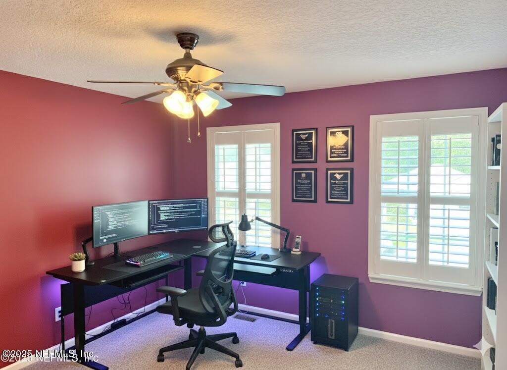 11156 Limerick Drive Jacksonville, FL 32221 - Photo 12 of 49 Office/Bedroom