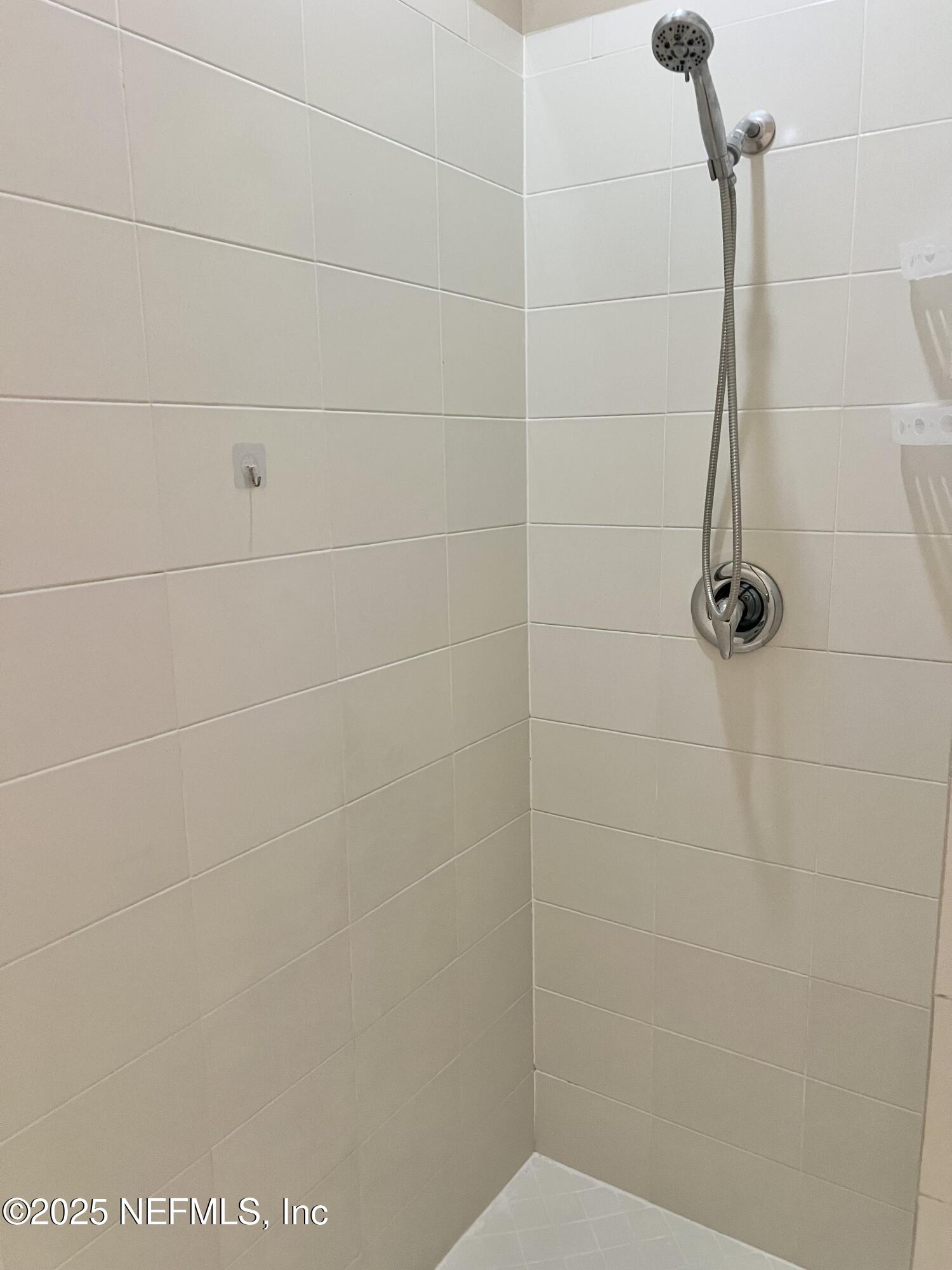 11156 Limerick Drive Jacksonville, FL 32221 - Photo 30 of 49 Shower