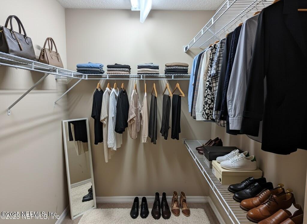 11156 Limerick Drive Jacksonville, FL 32221 - Photo 9 of 49 Walk-in Closet