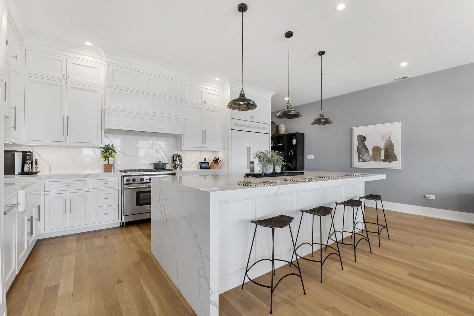 195 North Addison Avenue, Unit 303 Elmhurst, IL 60126 - Photo 5 of 30 a kitchen with stainless steel appliances granite countertop a island a stove a refrigerator a sink dishwasher and white cabinets with wooden floor