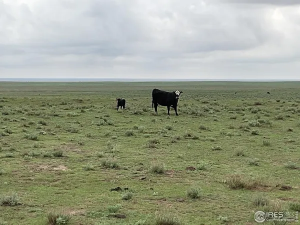 a view of an ocean beach