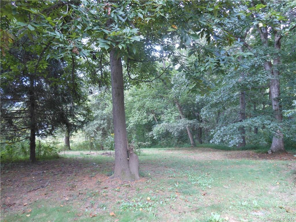 224 Long Branch Road Swannanoa, NC 28778 - Photo 3 of 24 Gallery Image 3