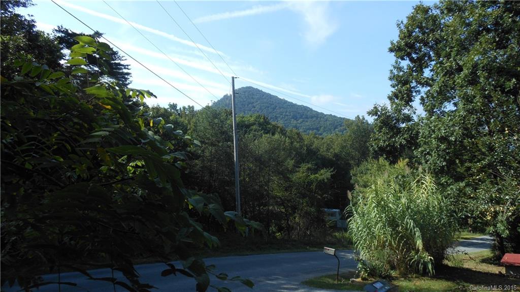 224 Long Branch Road Swannanoa, NC 28778 - Photo 21 of 24 Gallery Image 21