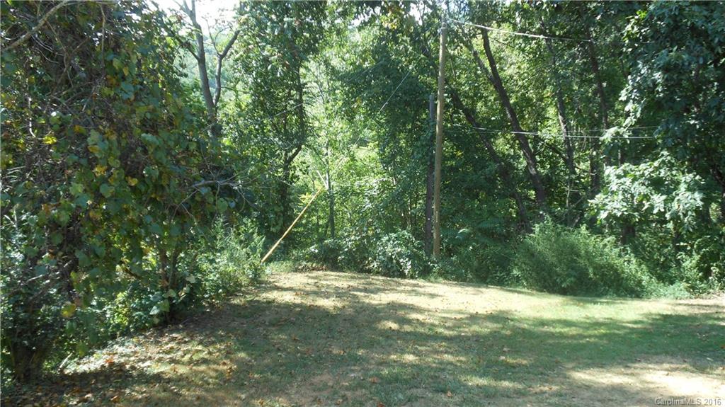 224 Long Branch Road Swannanoa, NC 28778 - Photo 22 of 24 Gallery Image 22