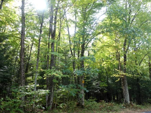 1-6 Gilbertson Road Minocqua, WI 54548 - Photo 16 of 17 Gallery Image 16