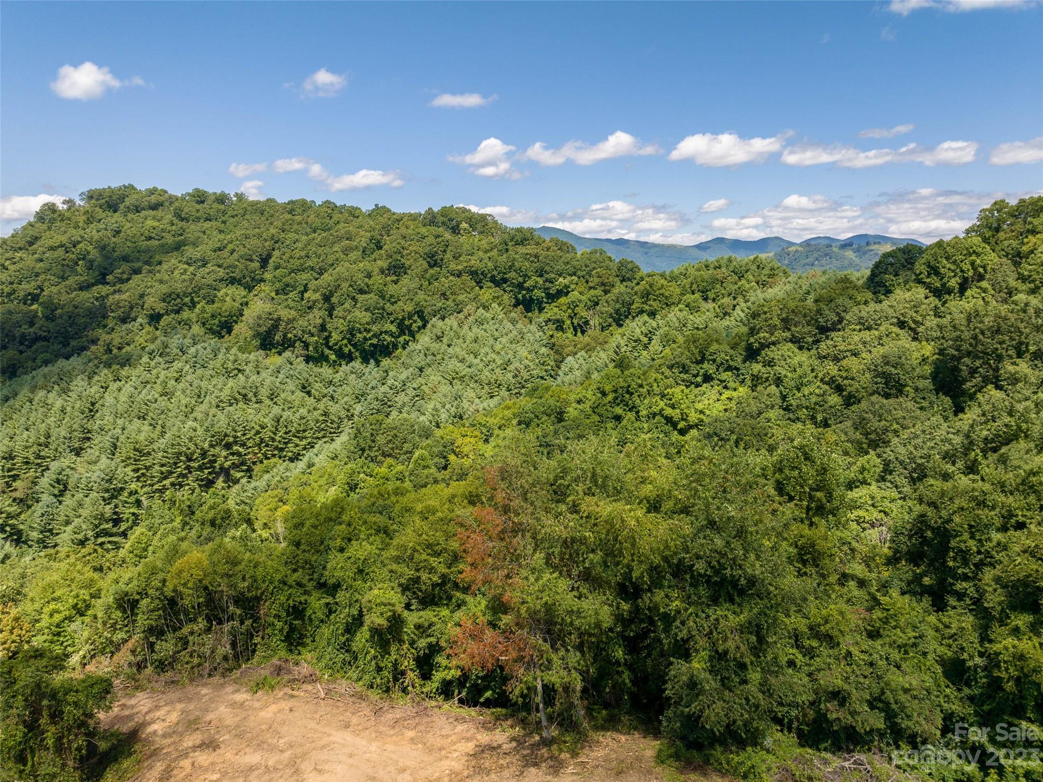 0 Crabtree Mountain Road Clyde, NC 28721 - Photo 11 of 23 a view of a bunch of trees