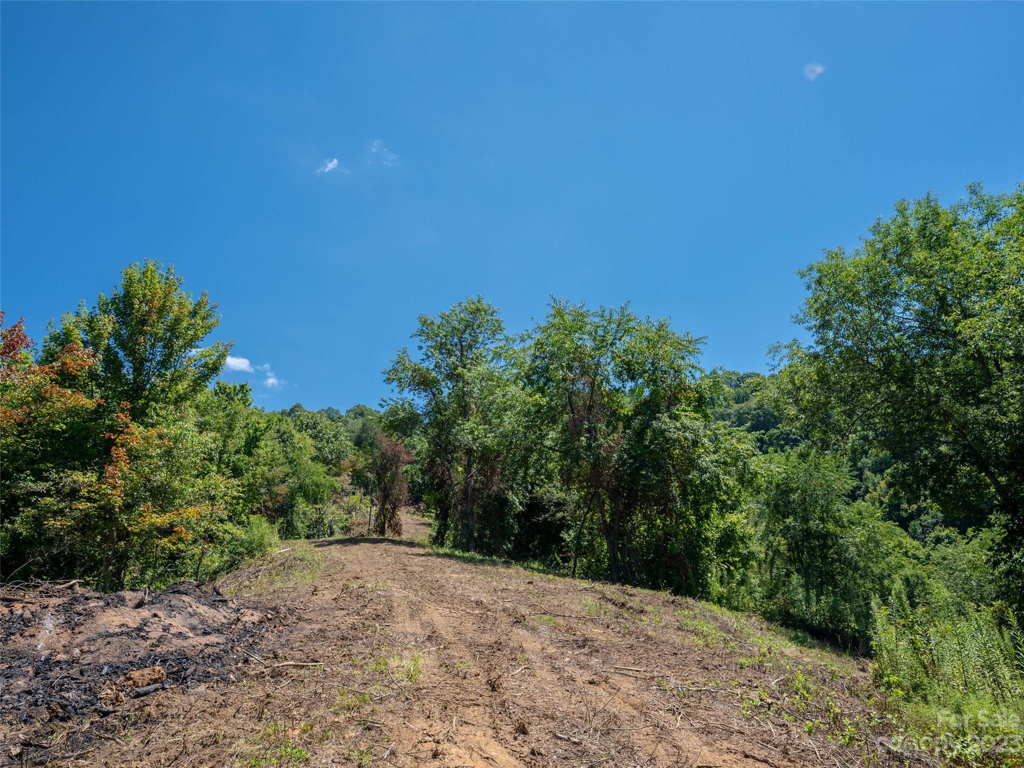 0 Crabtree Mountain Road Clyde, NC 28721 - Photo 13 of 23 a view of a yard with a tree