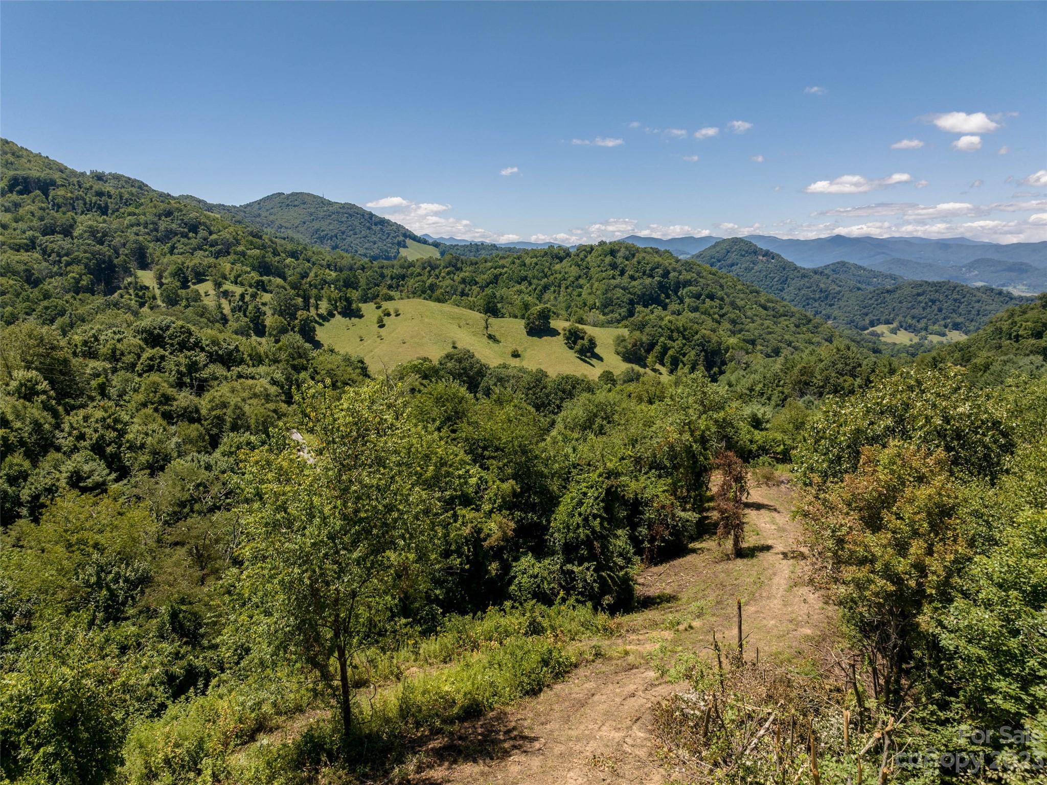 0 Crabtree Mountain Road Clyde, NC 28721 - Photo 14 of 23 a view of a green field with lots of bushes