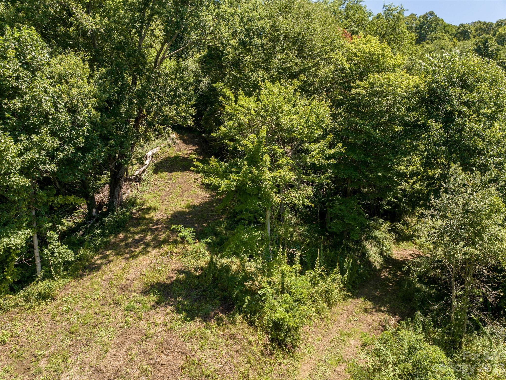 0 Crabtree Mountain Road Clyde, NC 28721 - Photo 15 of 23 a view of a forest