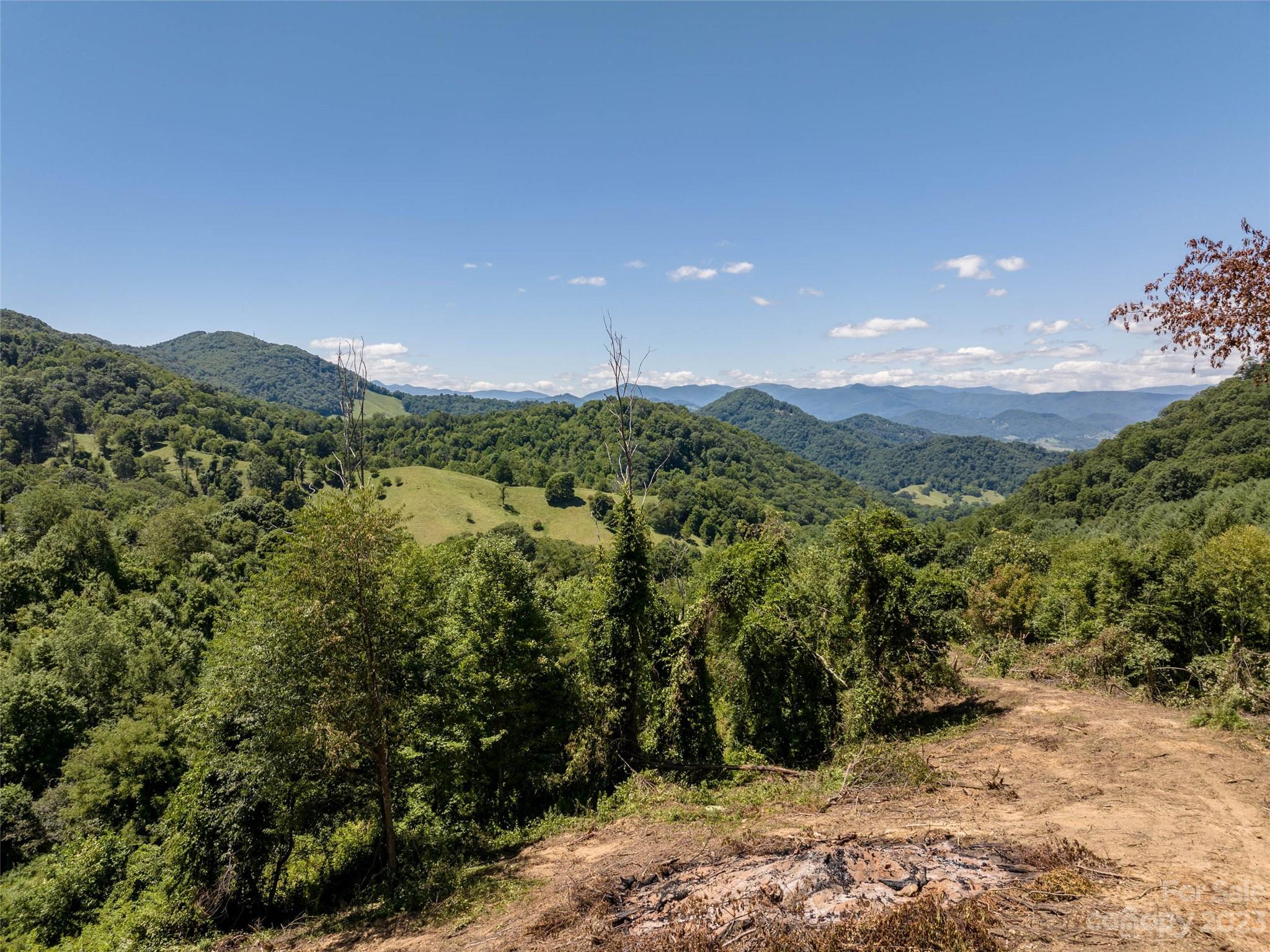 0 Crabtree Mountain Road Clyde, NC 28721 - Photo 16 of 23 a view of a green field with mountains in the background