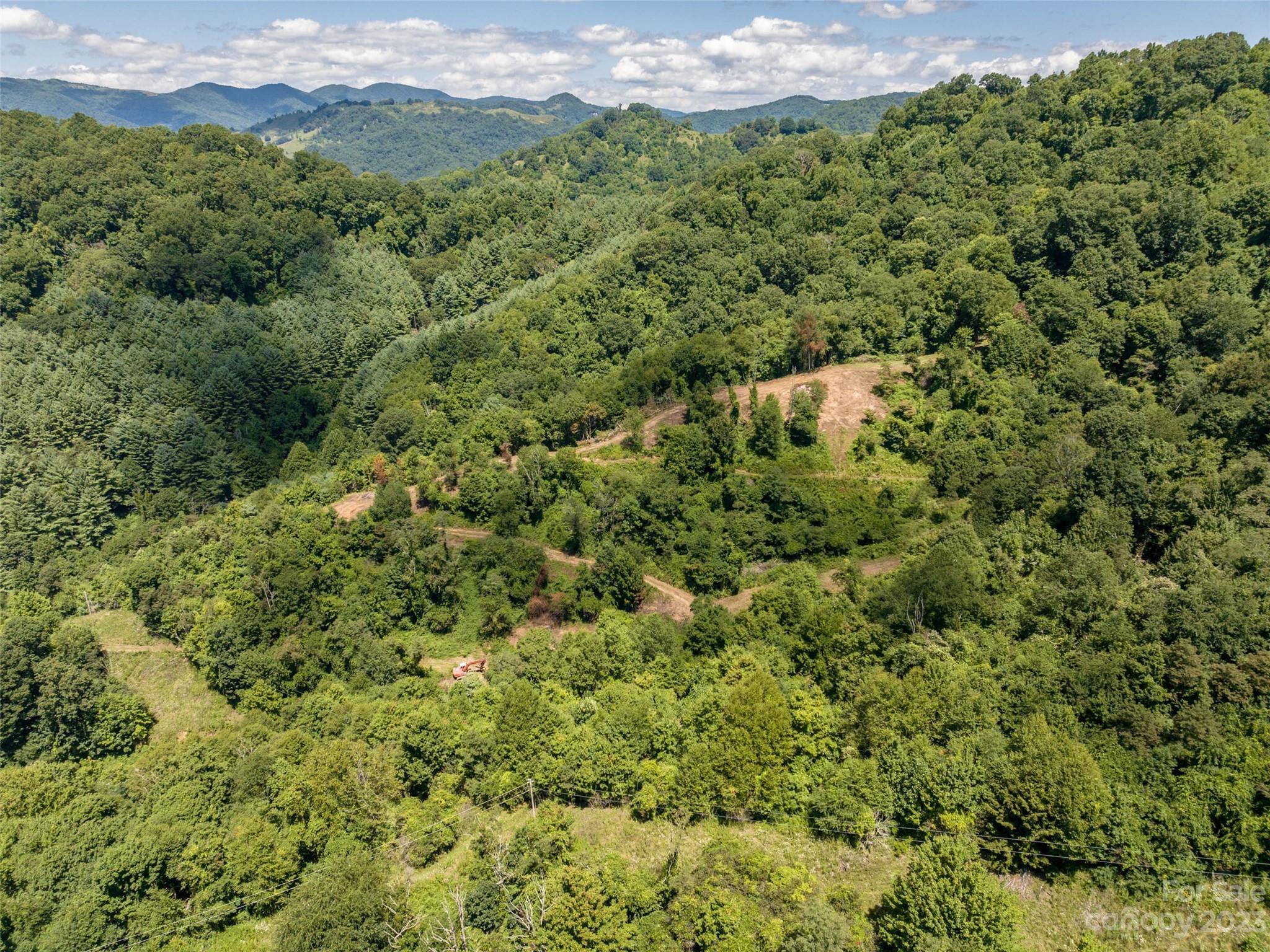 0 Crabtree Mountain Road Clyde, NC 28721 - Photo 17 of 23 a view of a green field with lots of bushes