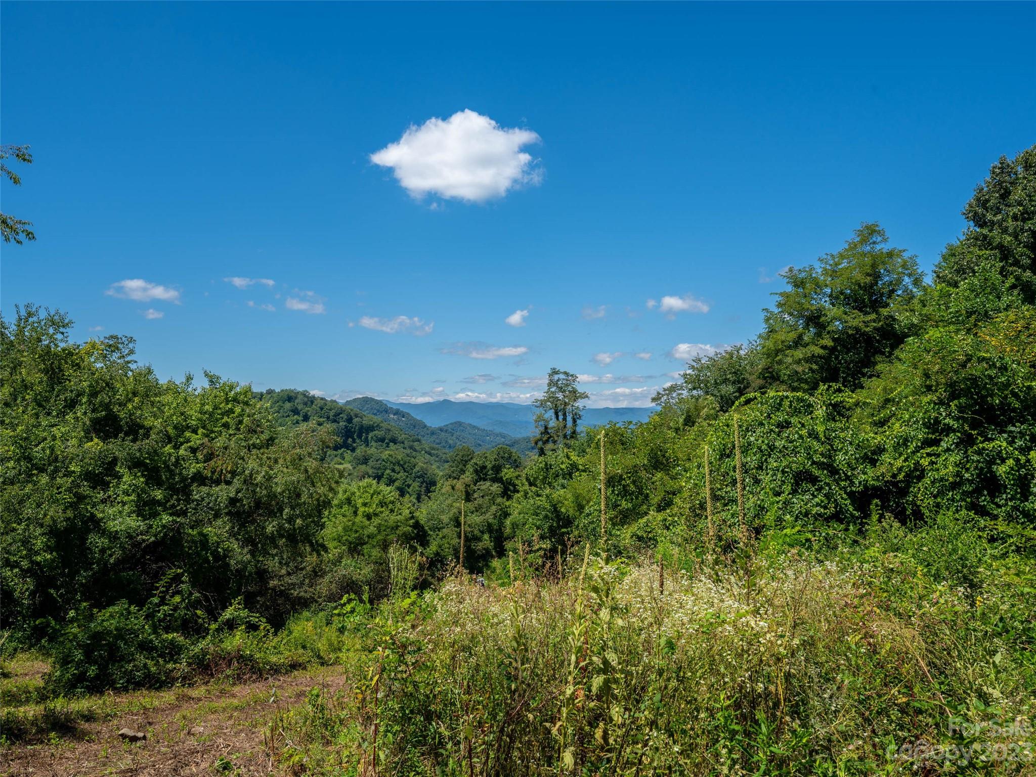 0 Crabtree Mountain Road Clyde, NC 28721 - Photo 4 of 23 a view of a house with a outdoor space and street view