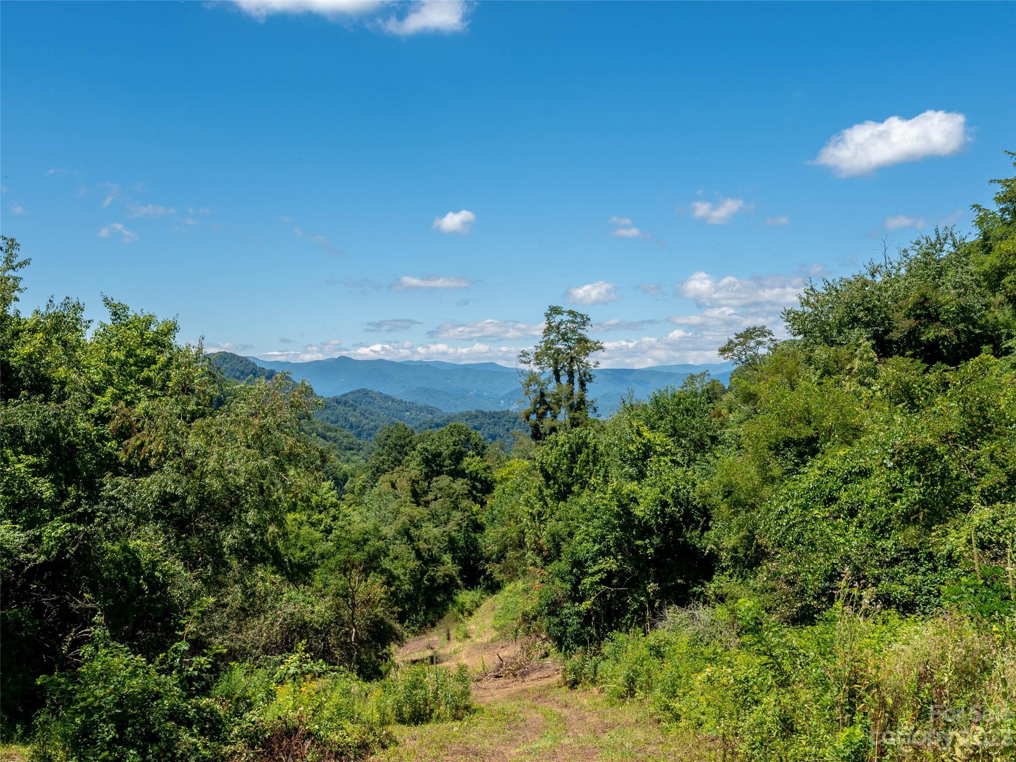 0 Crabtree Mountain Road Clyde, NC 28721 - Photo 5 of 23 a backyard of a house with a yard and outdoor seating