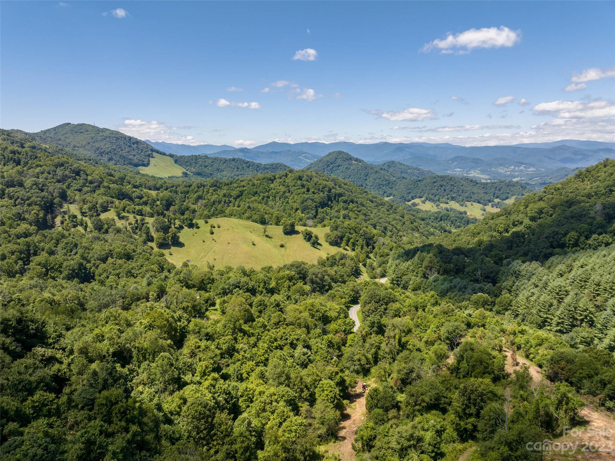 0 Crabtree Mountain Road Clyde, NC 28721 - Photo 10 of 23 a view of a lush green forest with mountains in the background