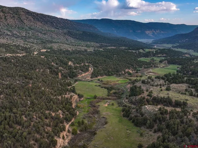 a view of a lake in middle of forest