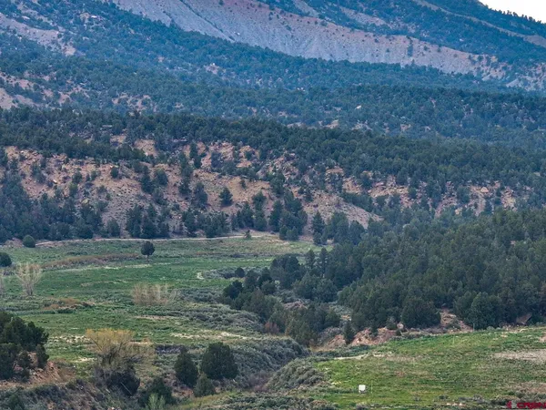 a view of a field with an trees