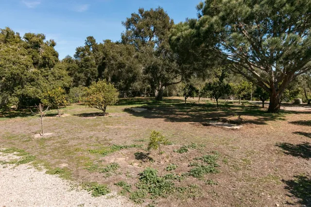 a view of outdoor space with trees