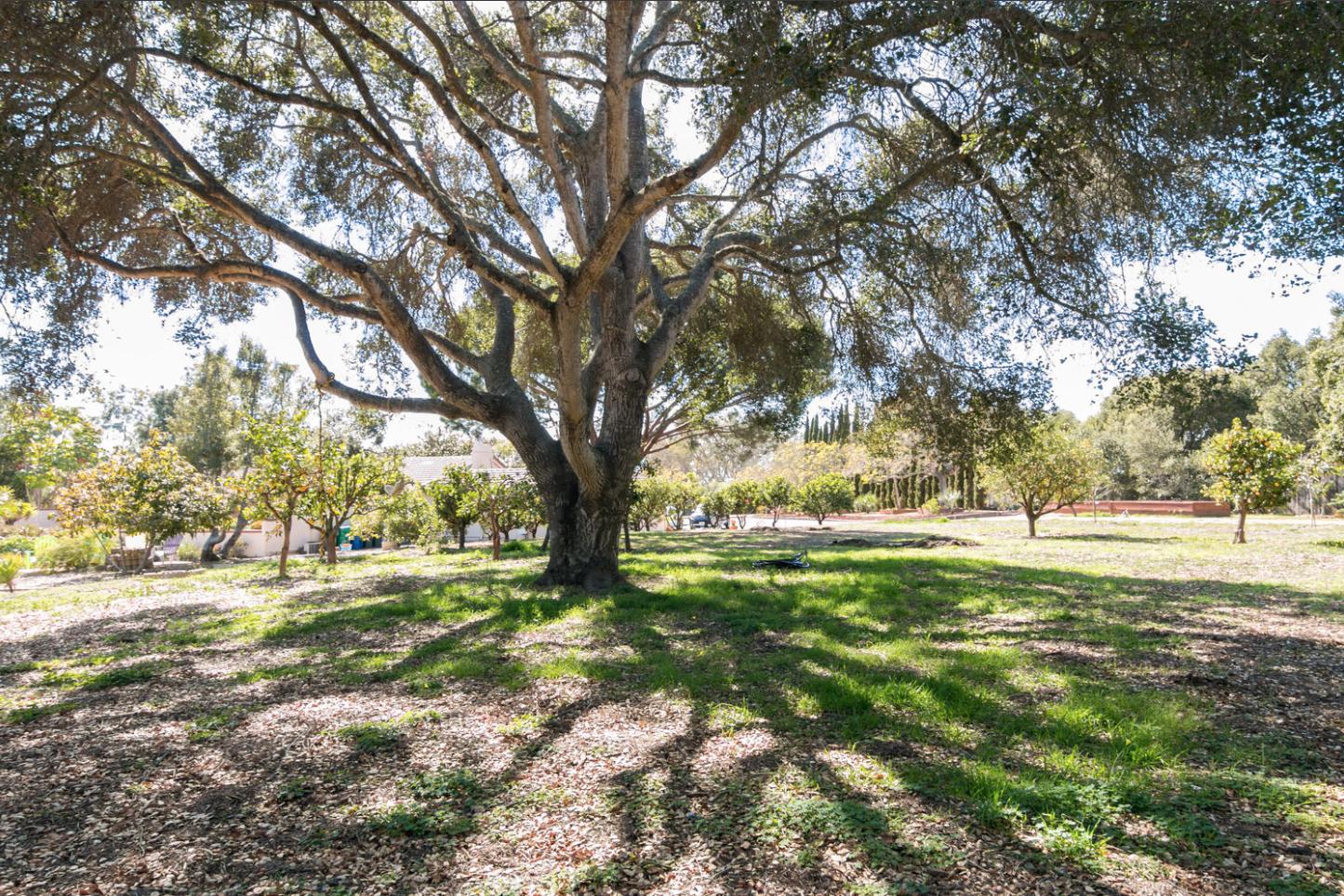 4460 Via Alegre Santa Barbara, CA 93110 - Photo 27 of 28 a view of yard with trees