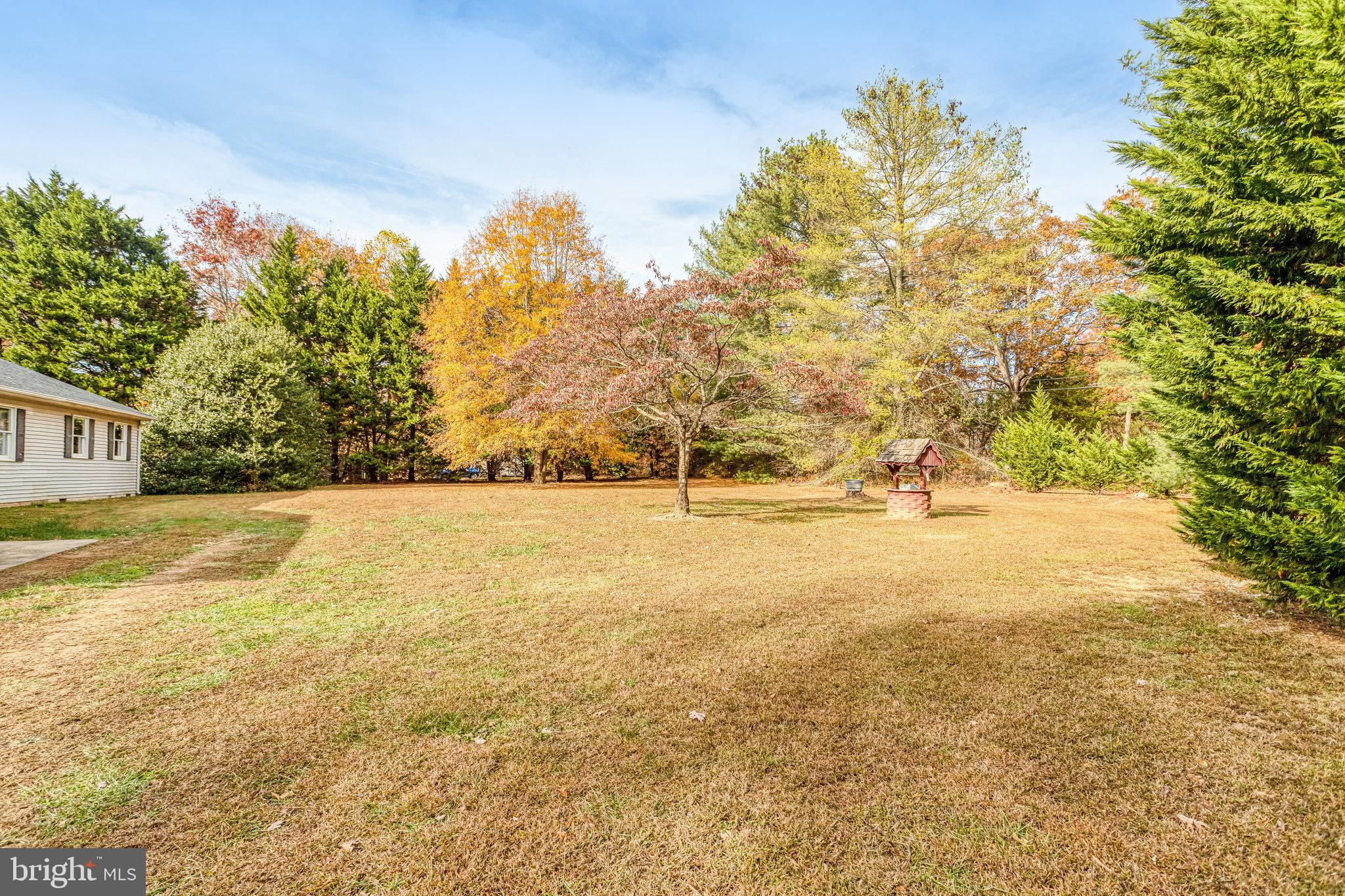 13200 Marsh Road Bealeton, VA 22712 - Photo 19 of 20 a view of yard with tree