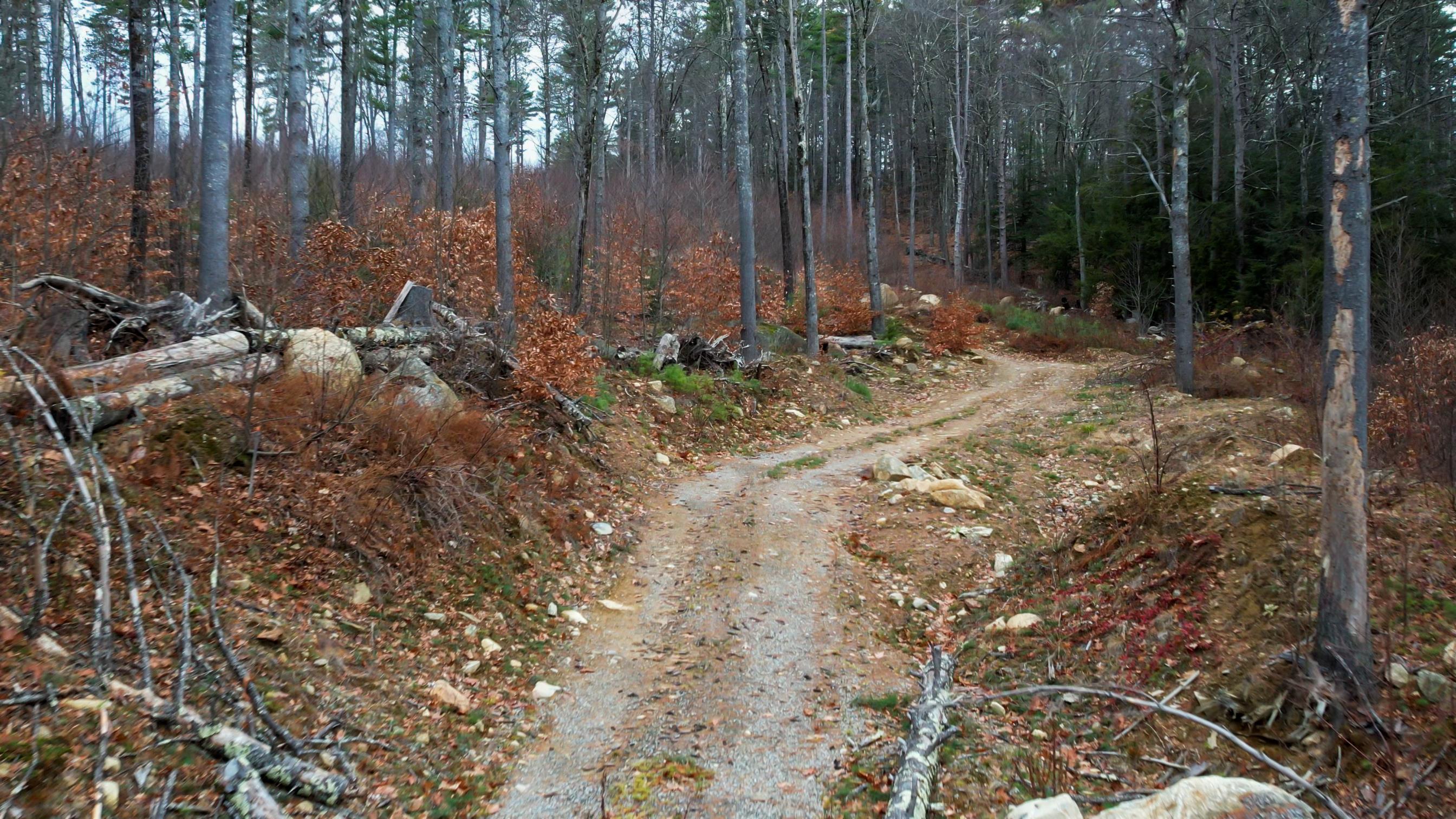 17 Todd Road Francestown, NH 03043 - Photo 11 of 28