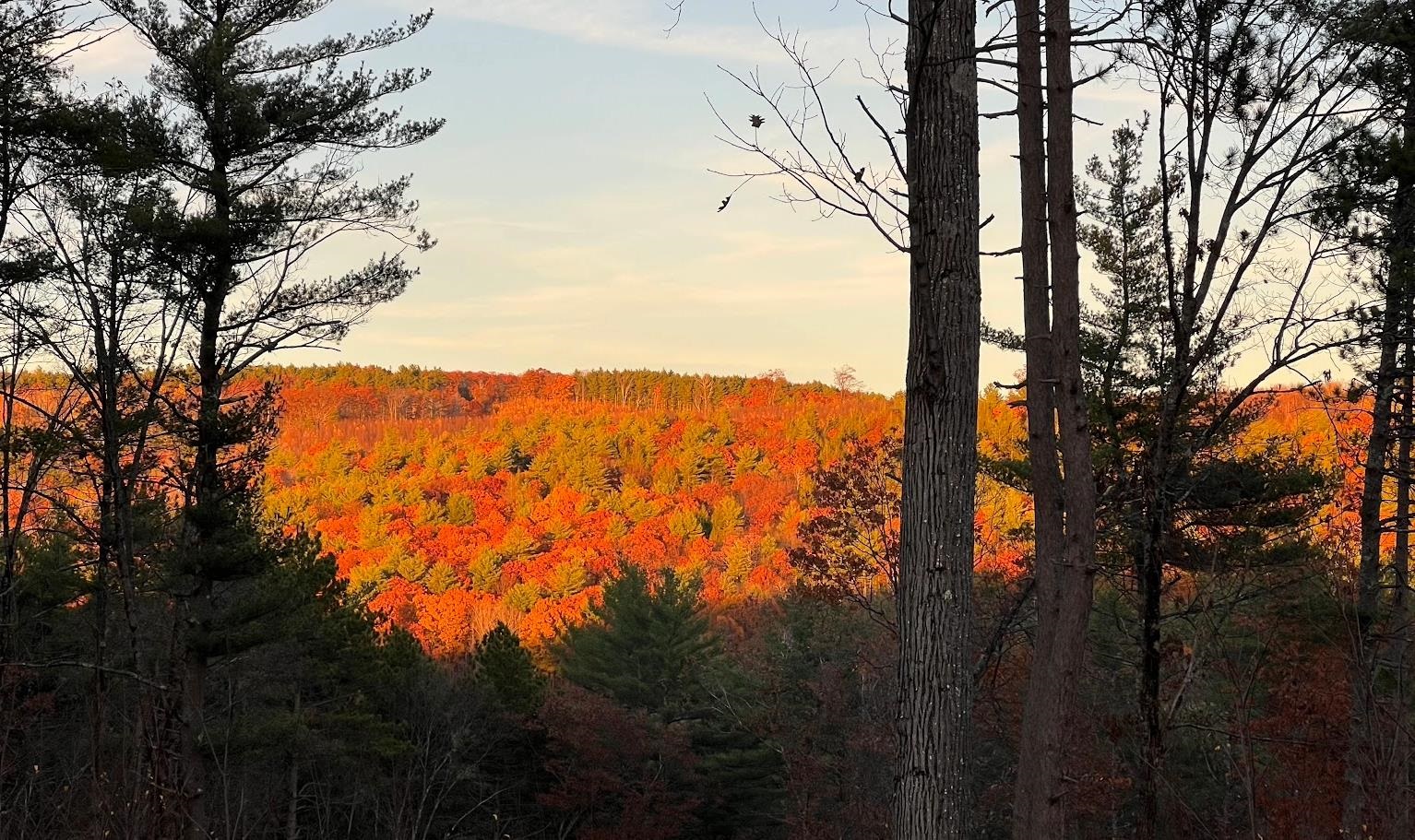 17 Todd Road Francestown, NH 03043 - Photo 2 of 28