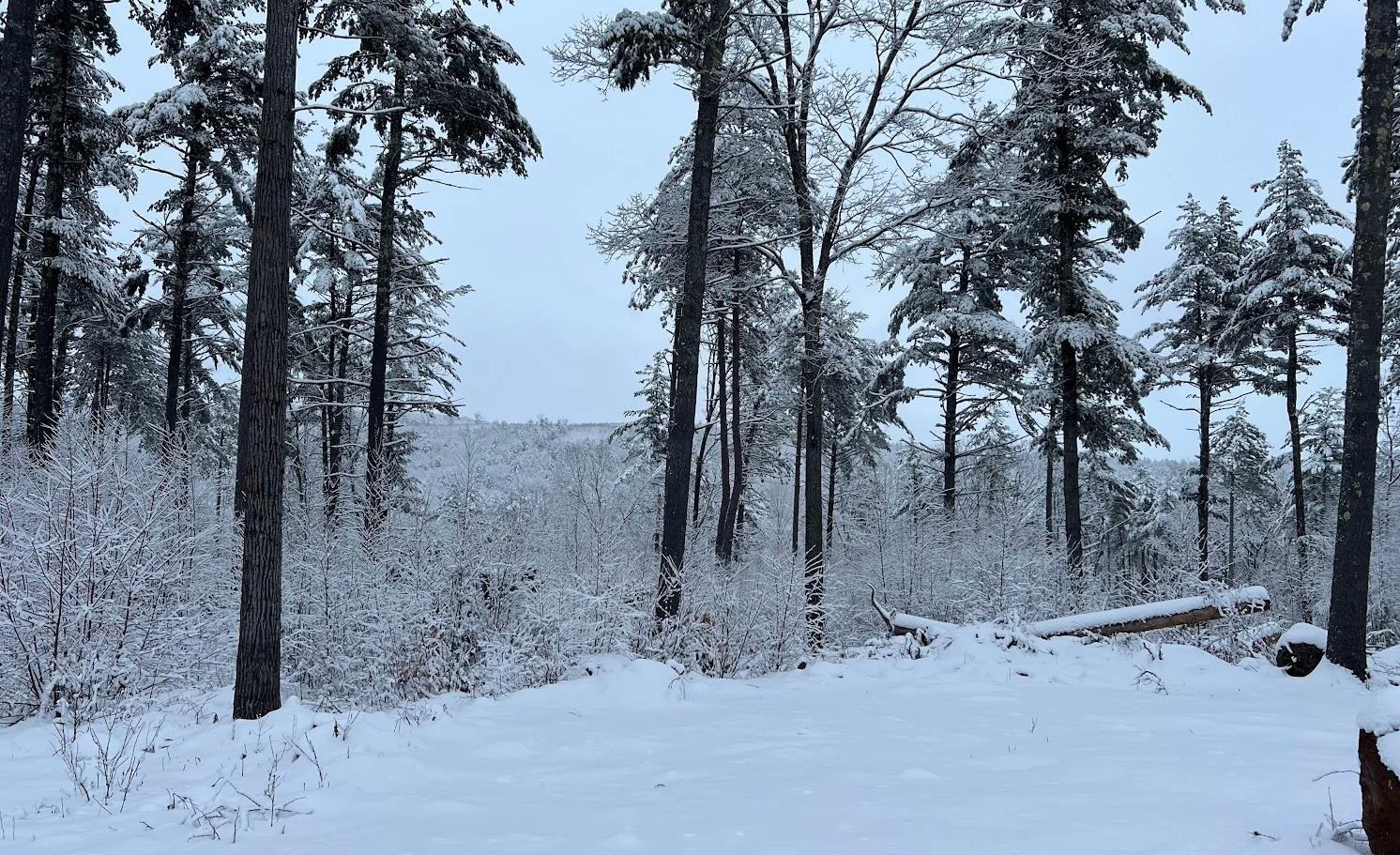 17 Todd Road Francestown, NH 03043 - Photo 24 of 28