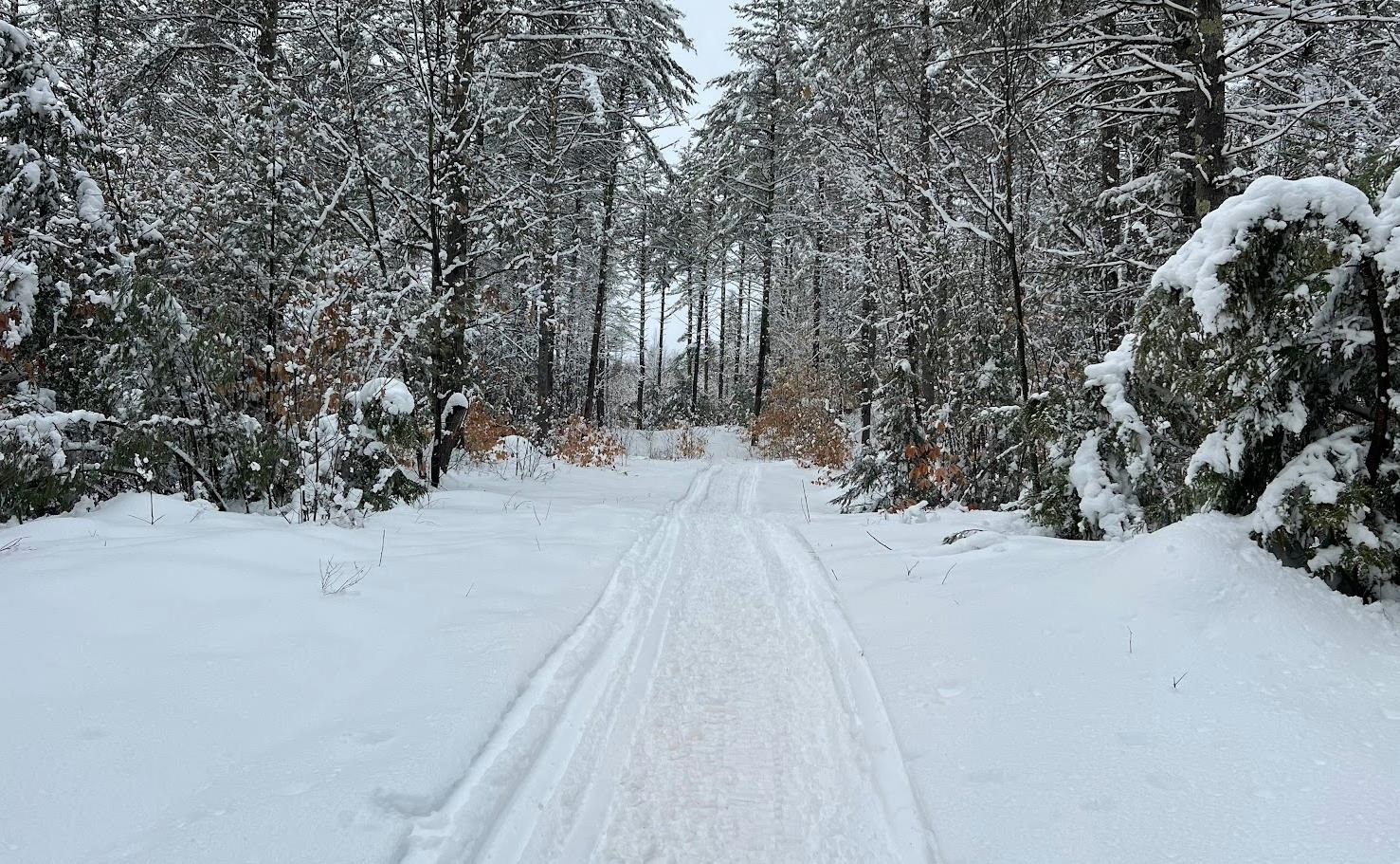 17 Todd Road Francestown, NH 03043 - Photo 25 of 28