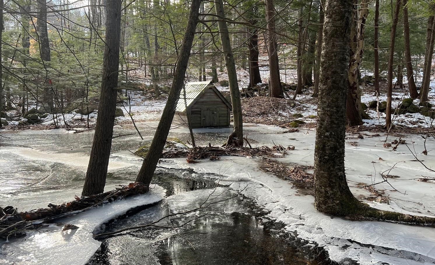 17 Todd Road Francestown, NH 03043 - Photo 26 of 28