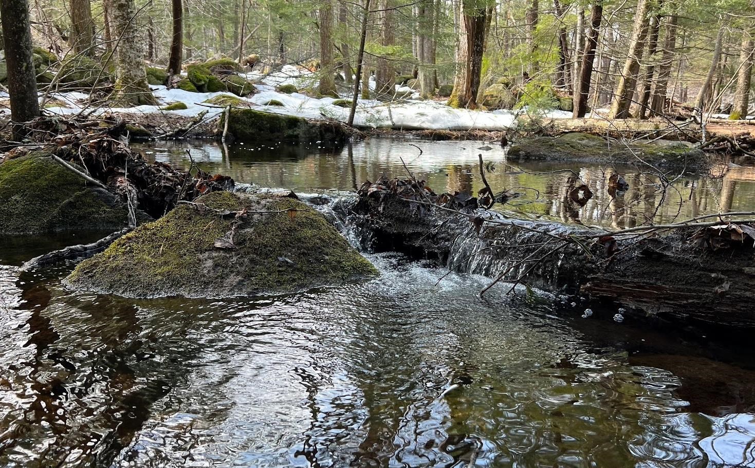 17 Todd Road Francestown, NH 03043 - Photo 27 of 28