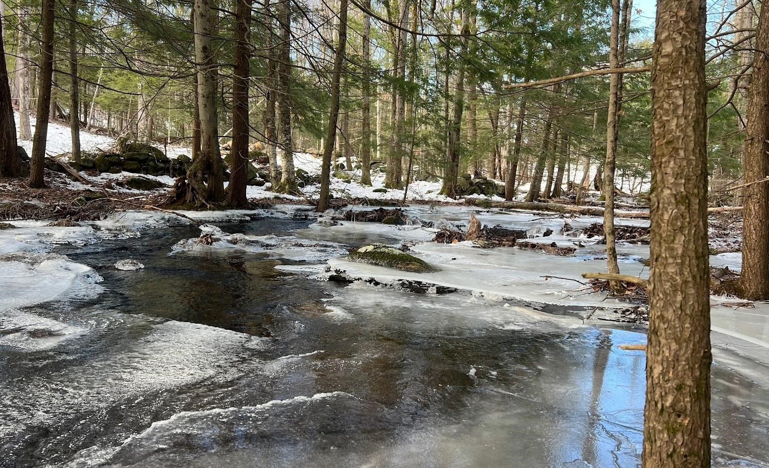 17 Todd Road Francestown, NH 03043 - Photo 28 of 28