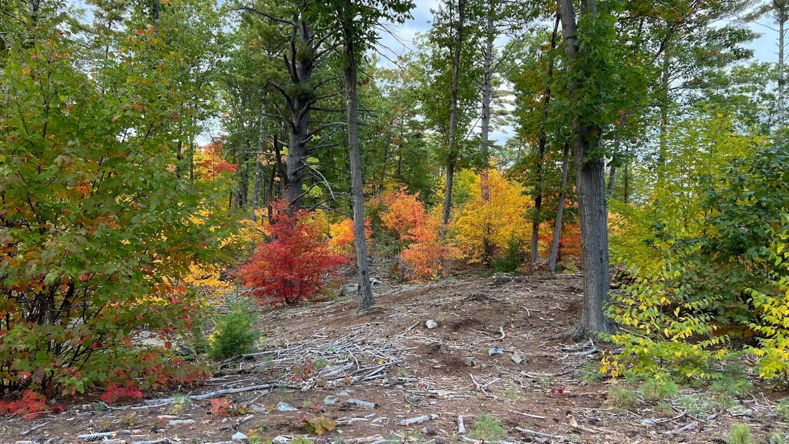 17 Todd Road Francestown, NH 03043 - Photo 3 of 28