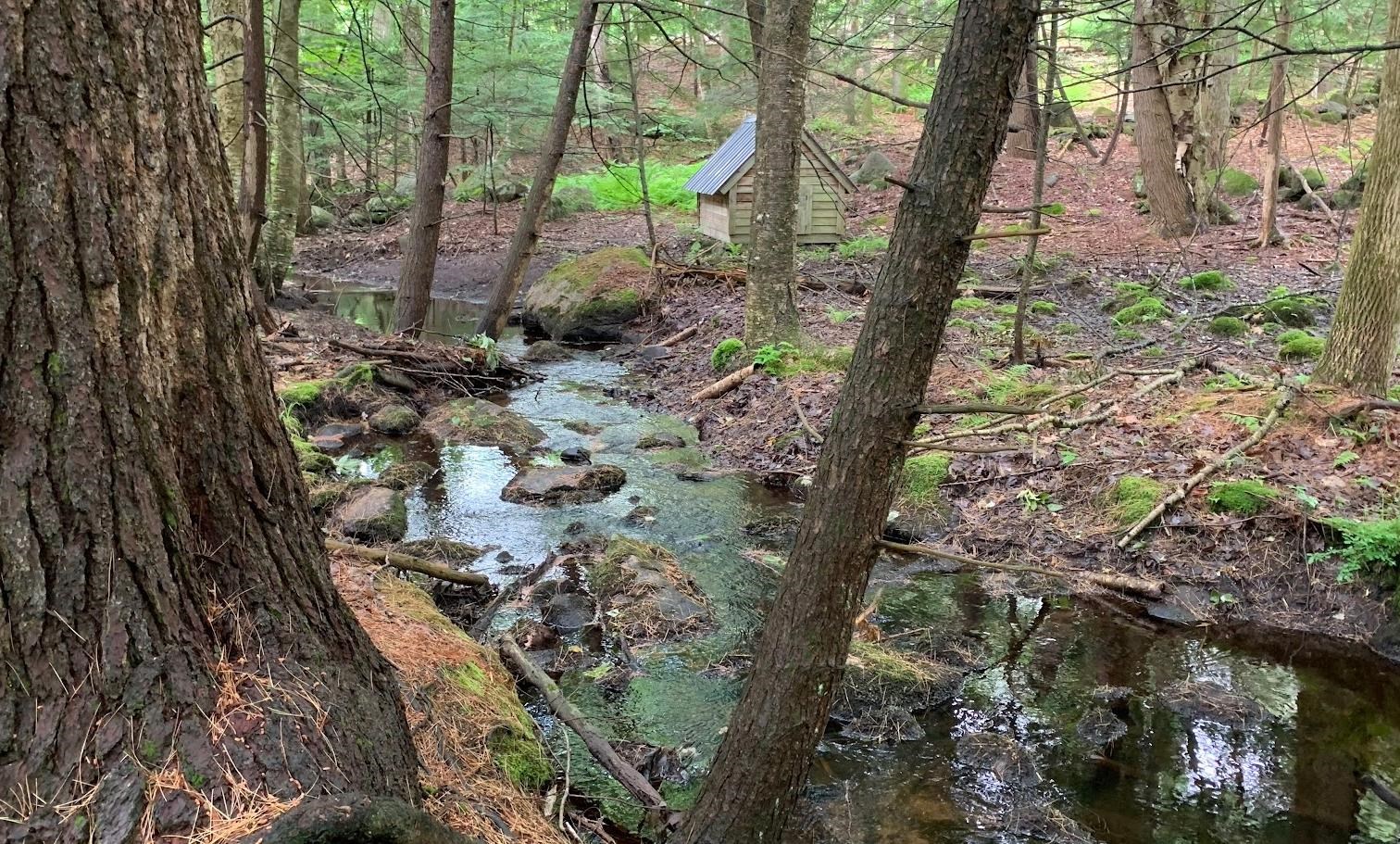 17 Todd Road Francestown, NH 03043 - Photo 5 of 28