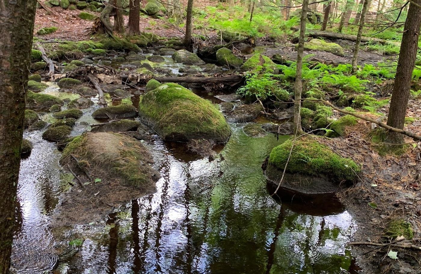 17 Todd Road Francestown, NH 03043 - Photo 6 of 28