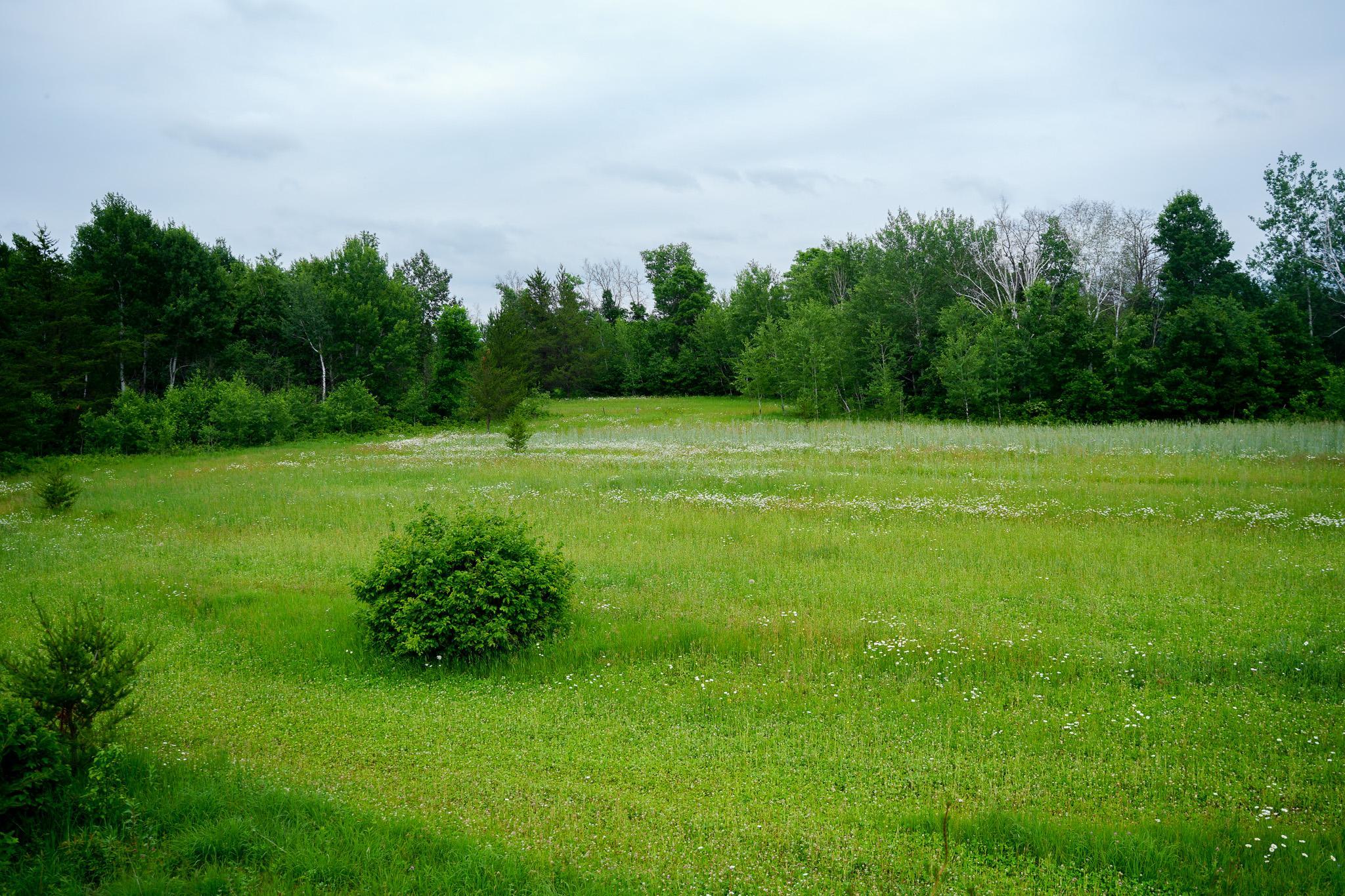 25820 County Road 26 Sebeka, MN 56477 - Photo 44 of 103